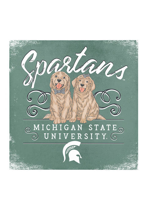 Image One NCAA Michigan State Spartans 9x9 Canvas