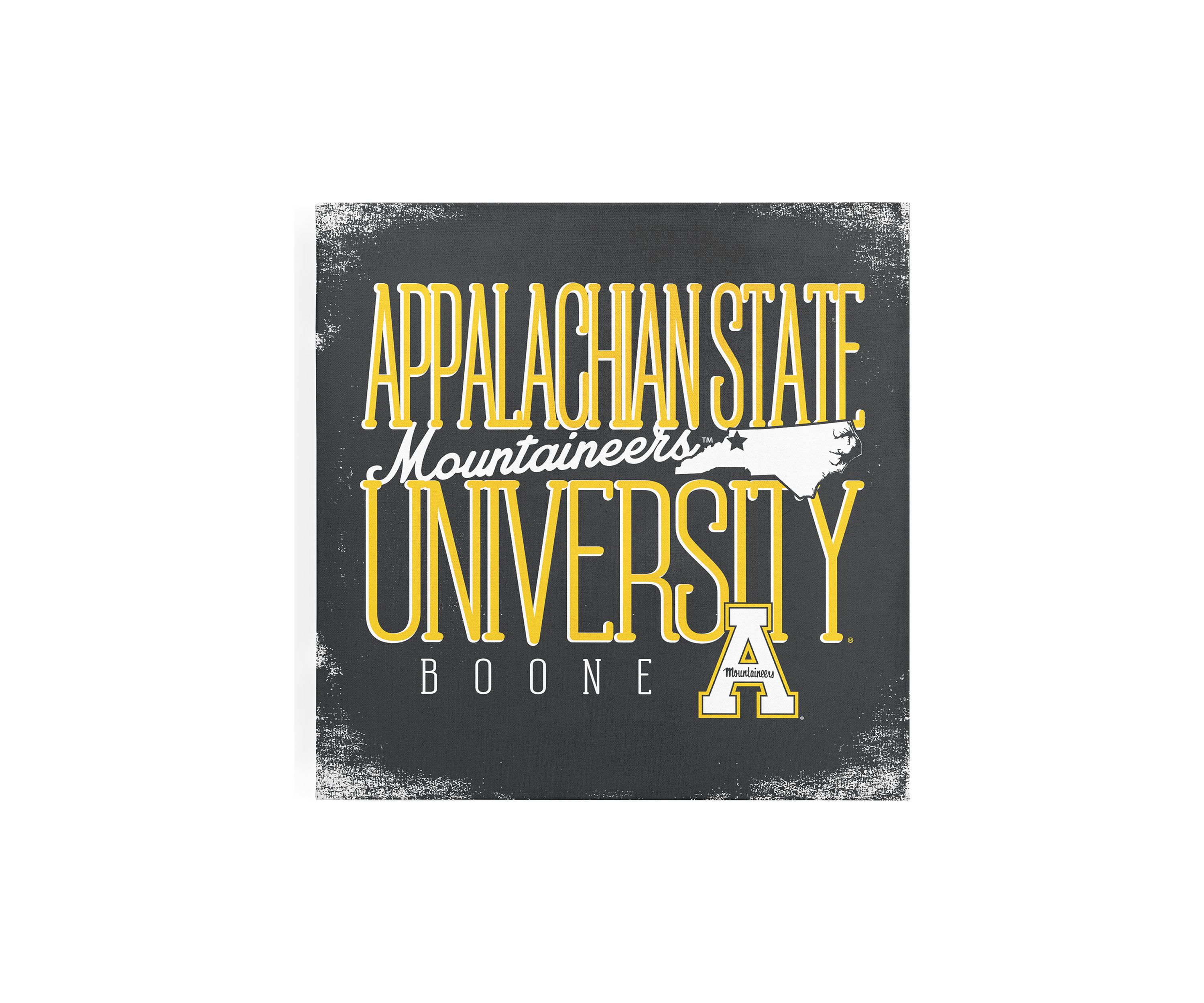  NCAA Appalachian State Mountaineers 9 in x 9 in in Canvas Wall Art Tall Type State