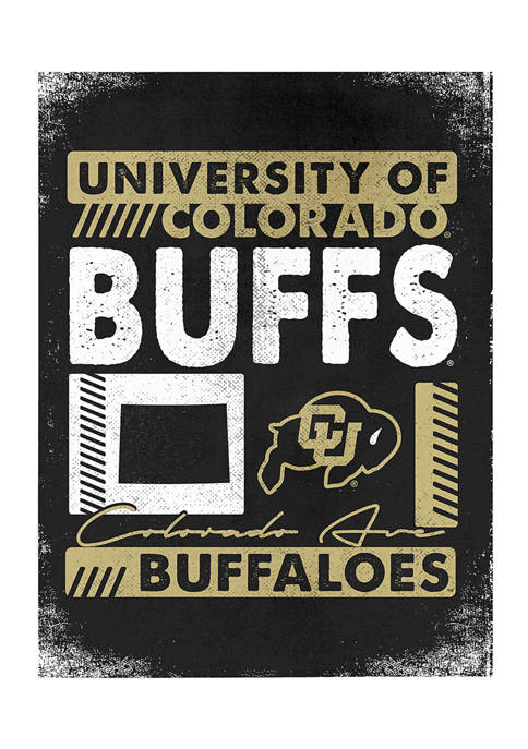 NCAA Colorado Buffaloes 9x12 Canvas Wall Art Slant Stripes