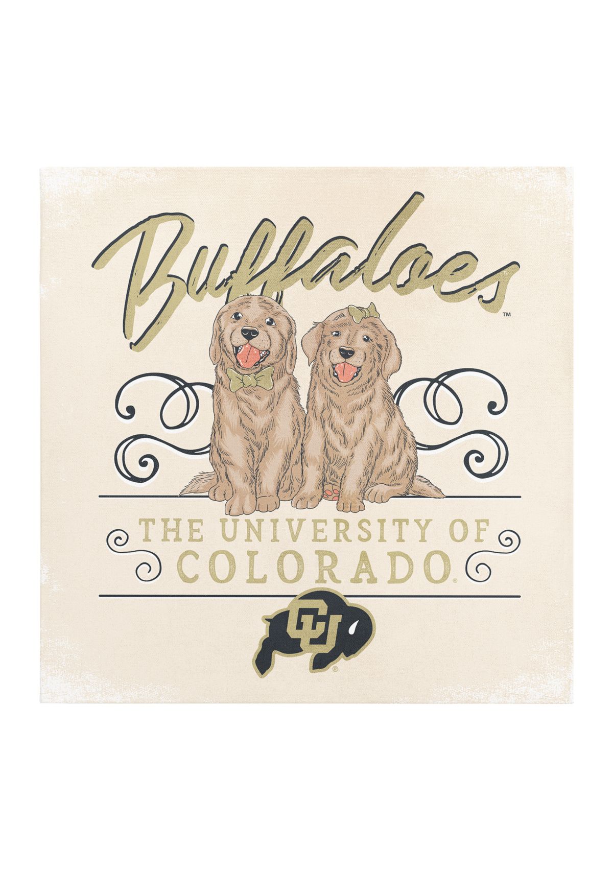 NCAA Colorado Buffaloes 9x9 Canvas Wall Art Double Trouble