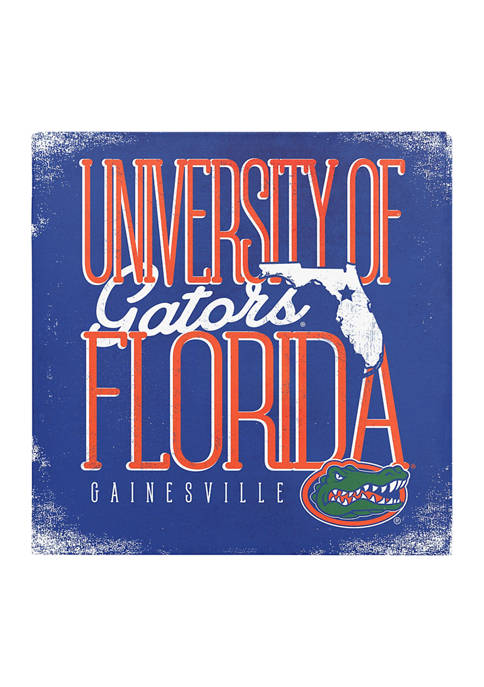 Image One NCAA Florida Gators 9 in x