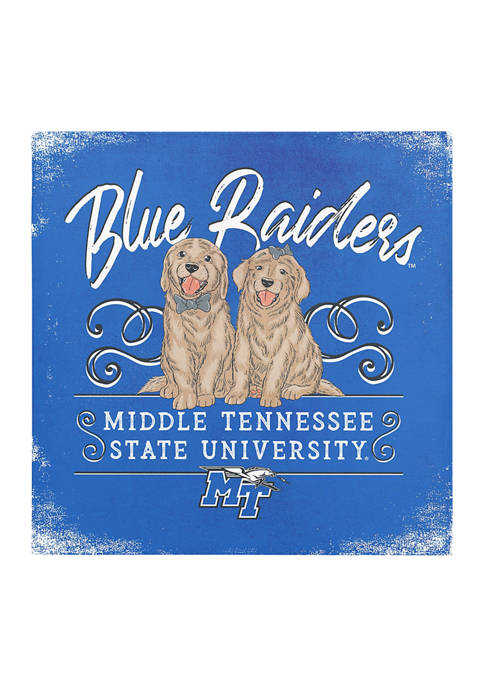 Image One NCAA Middle Tennessee Blue Raiders 12x12