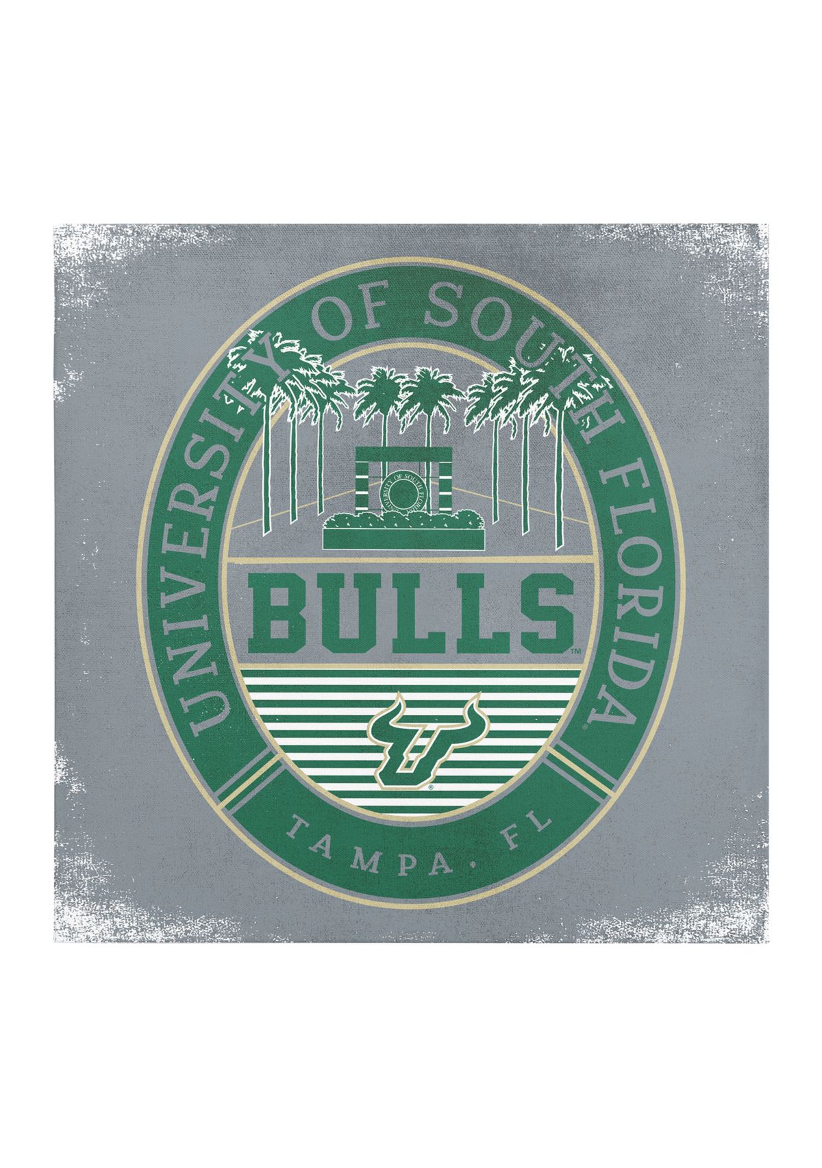  	  NCAA South Florida Bulls  9 in x 9 in Canvas Wall Art Regal Building 