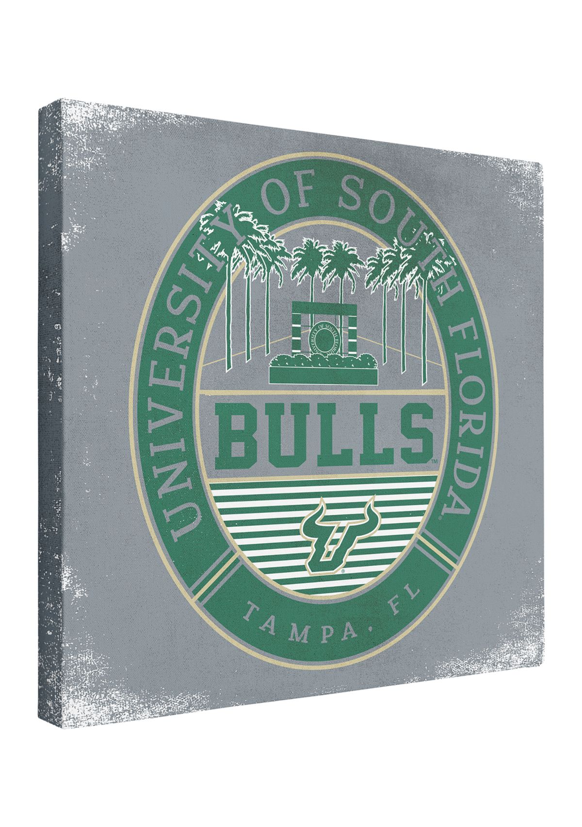  	  NCAA South Florida Bulls  9 in x 9 in Canvas Wall Art Regal Building 