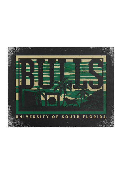 Image One NCAA South Florida Bulls 9x12 Canvas