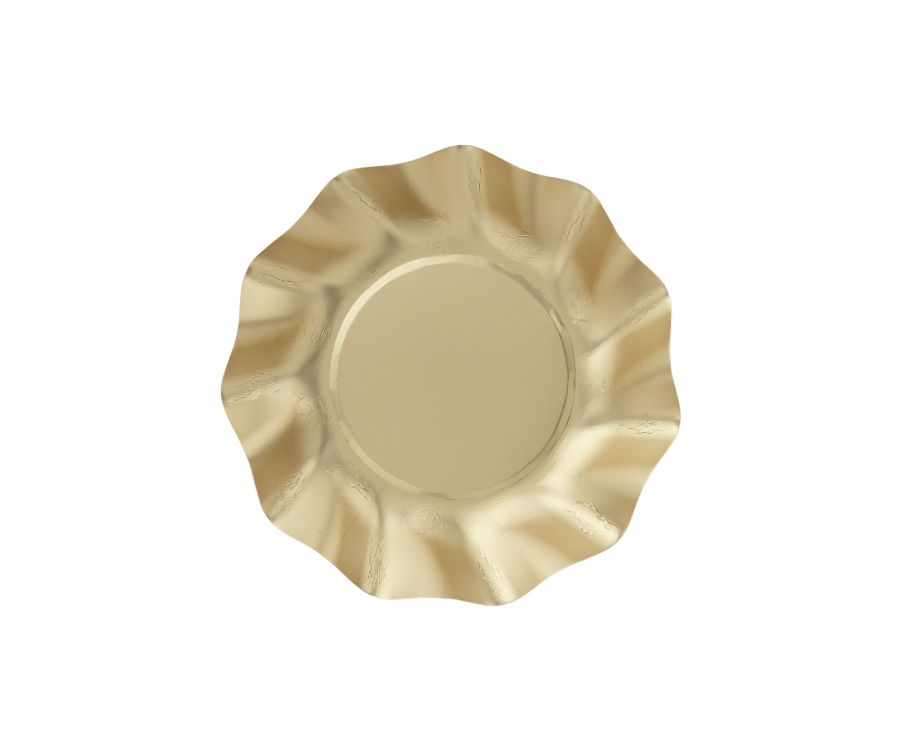 Gorgeous Disposable Paper Tableware - Set of 8