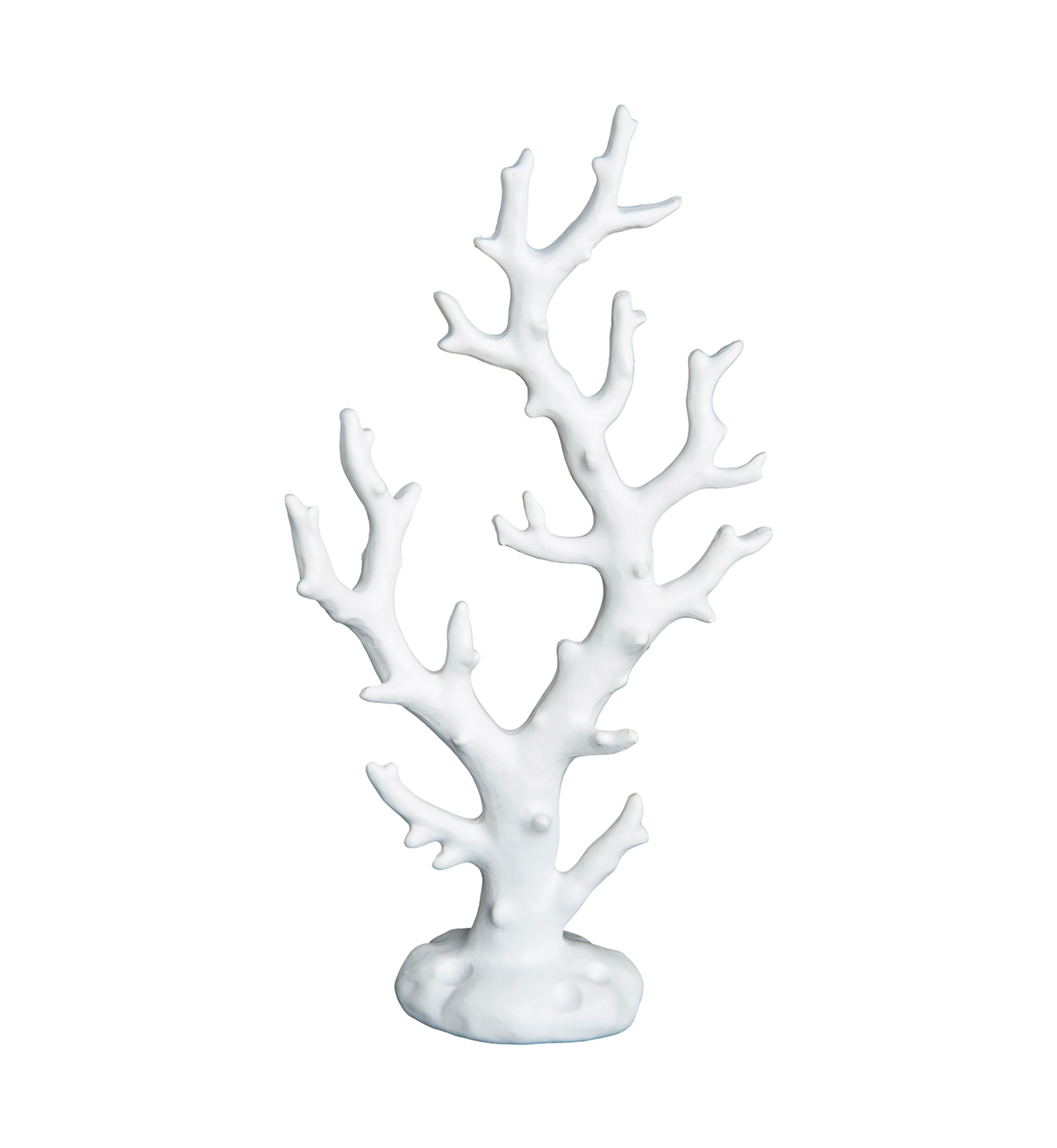 Small White Coral