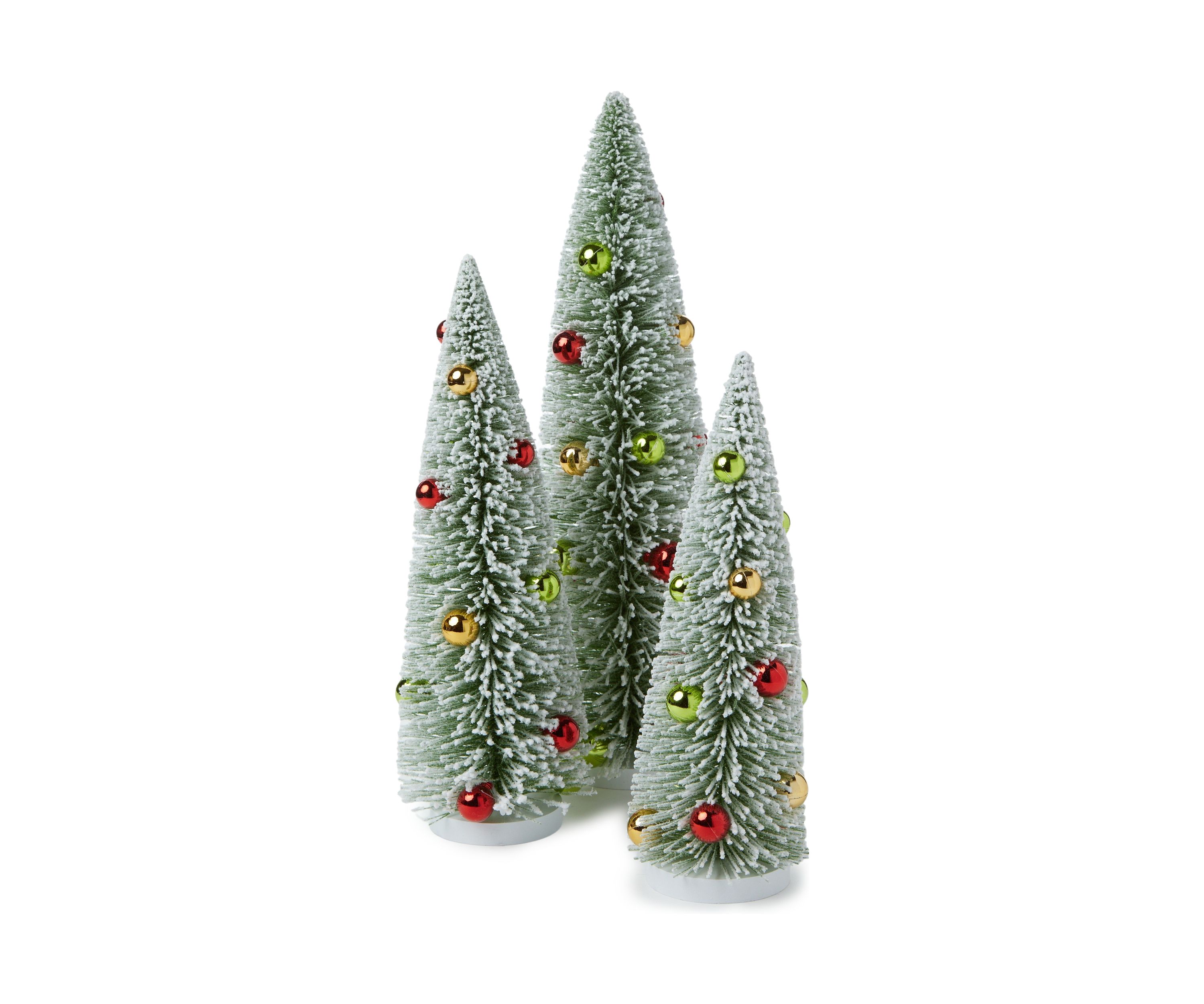 Medium Bottlebrush Tree