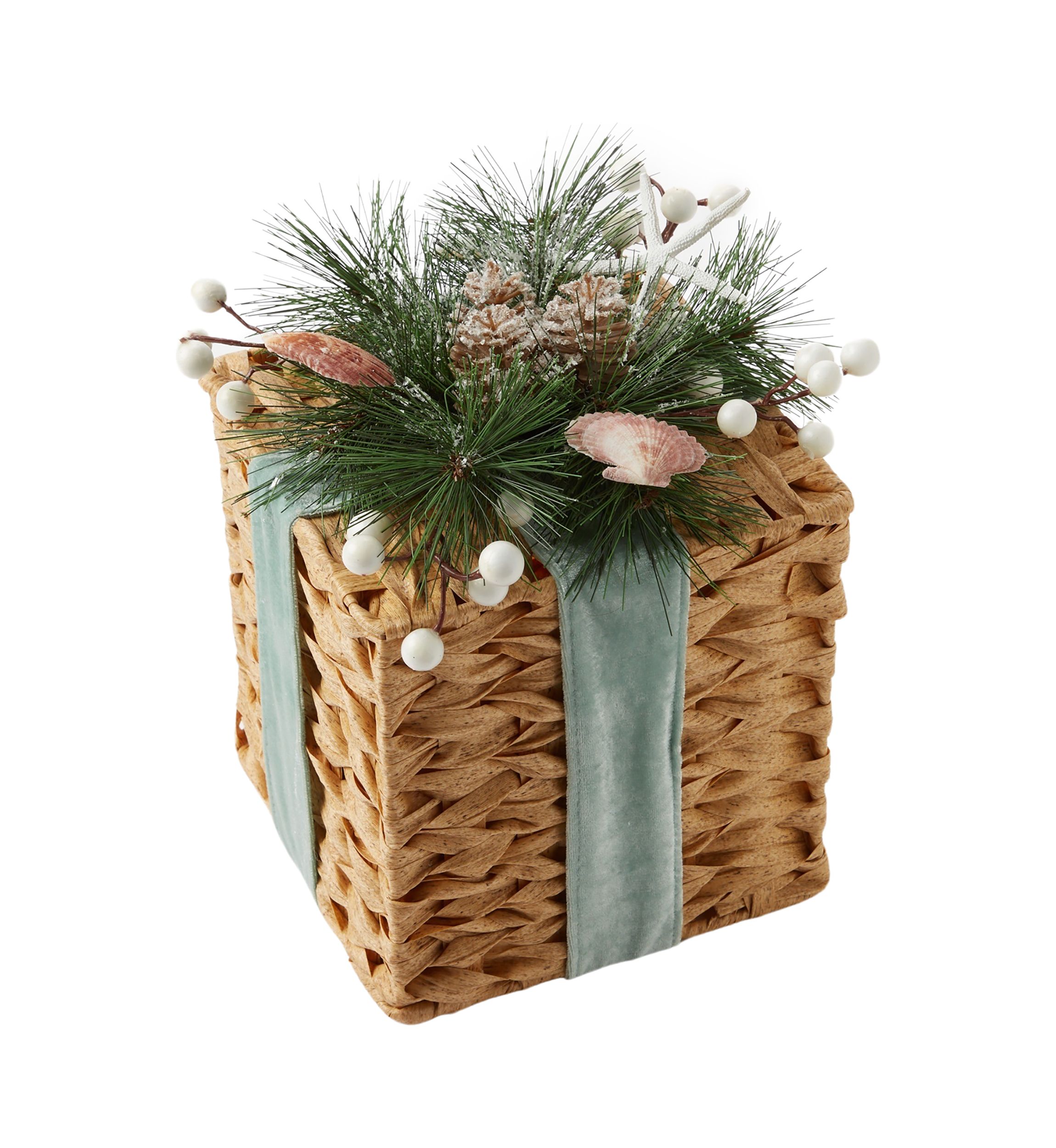 Decorative Shell Present 