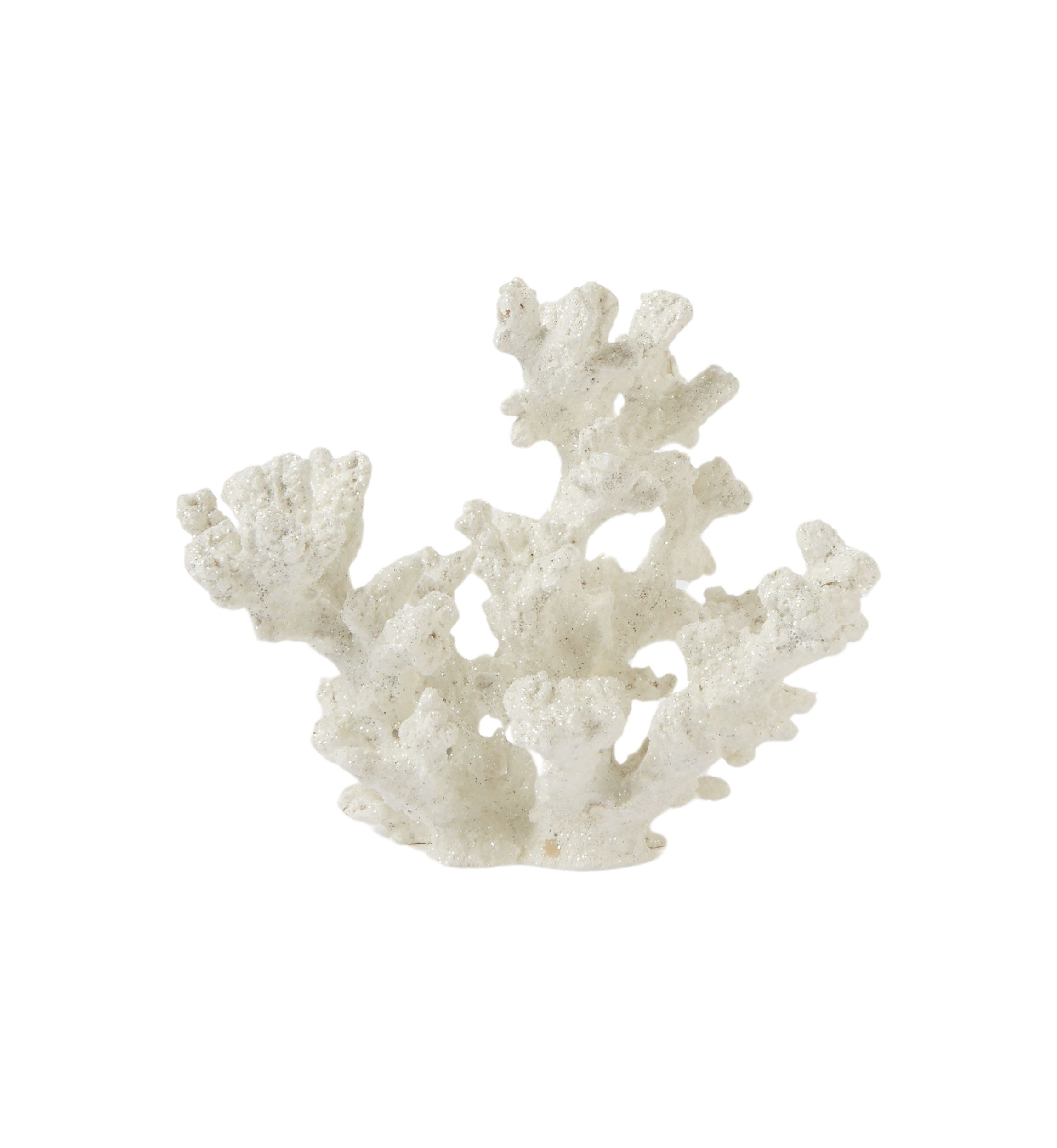 White Coral Decoration