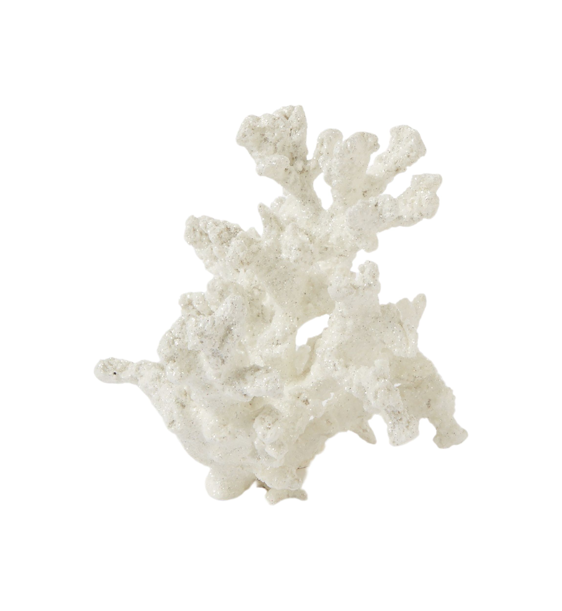 White Coral Decoration