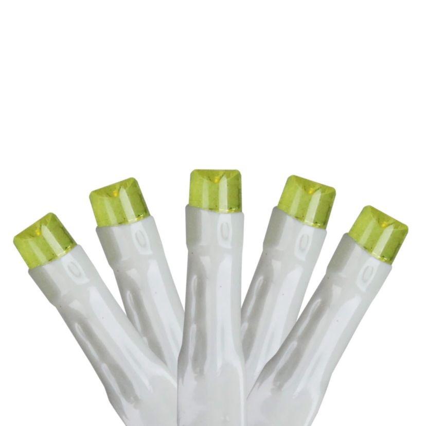 20 Pre-Lit Green Battery Operated LED Wide Angle Christmas Lights - 6.25 ft White Wire