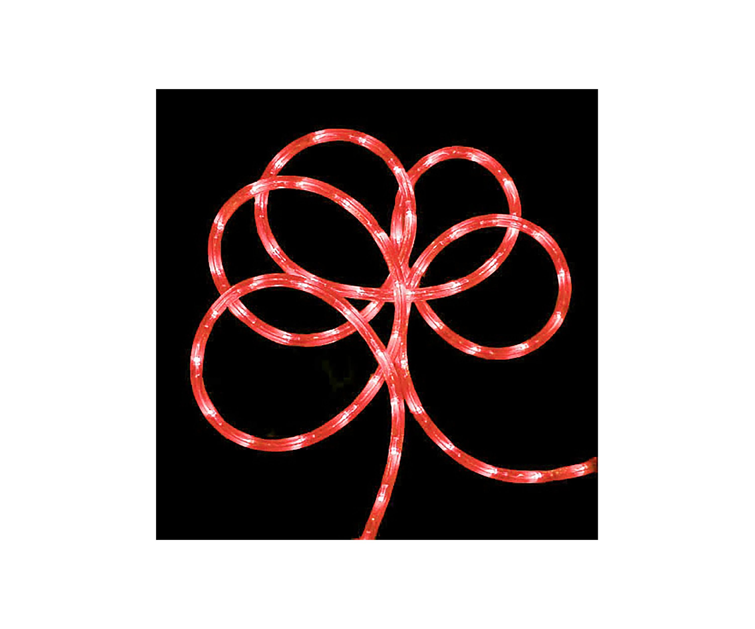 12 Pre-Lit Strawberry Pink Outdoor Christmas Rope Lights