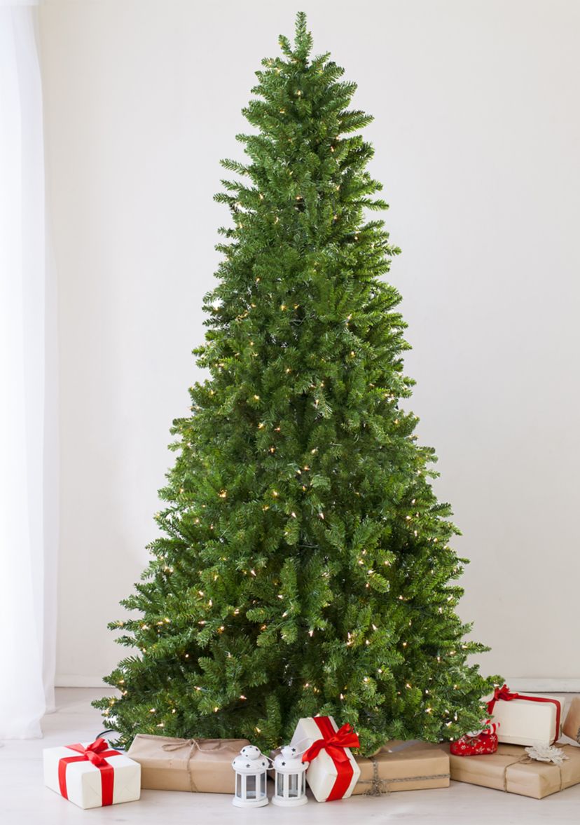 14 Pre-Lit Eastern Pine Slim Artificial Christmas Tree - Clear Lights