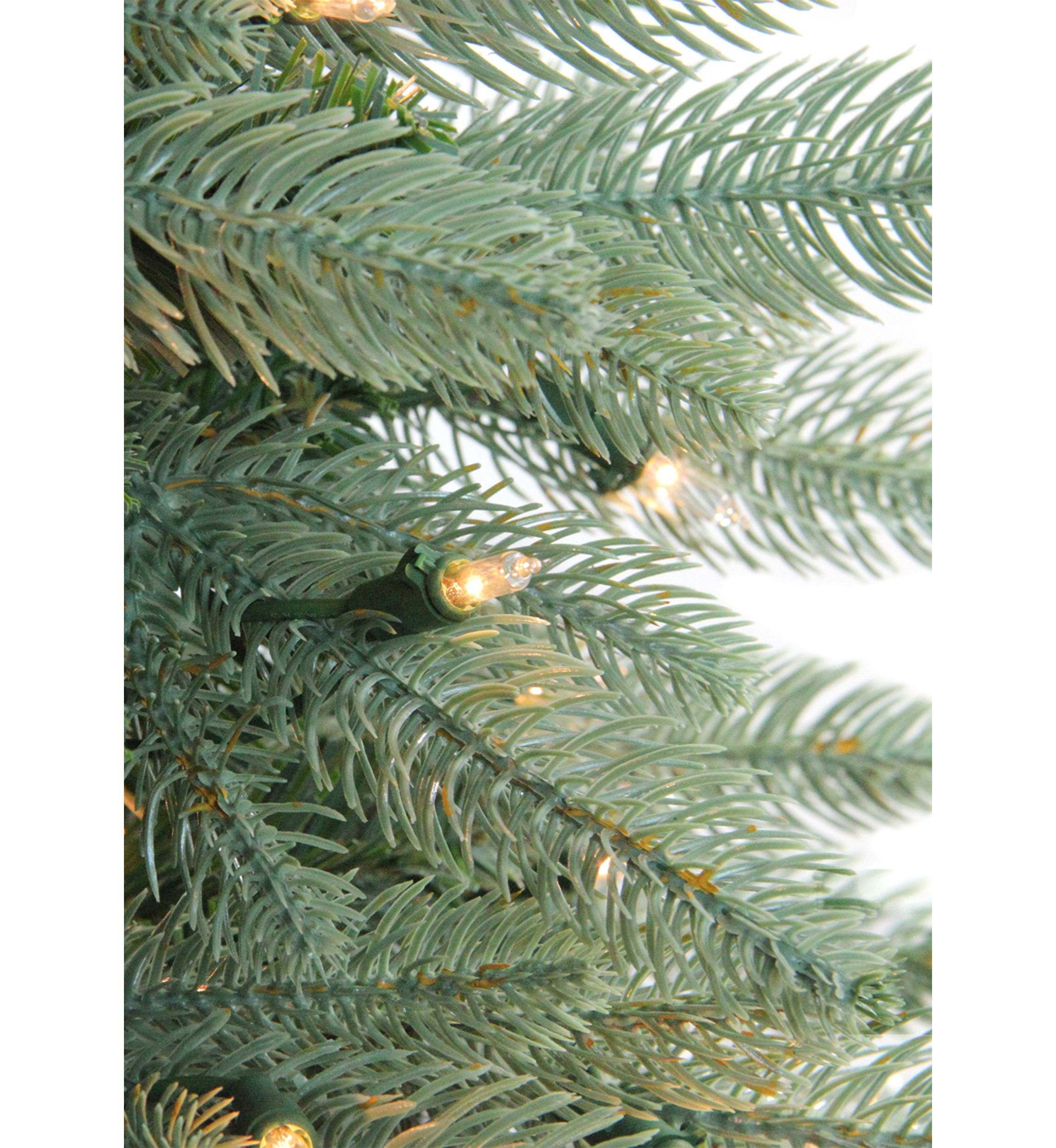 Pre-Lit Washington Frasier Fir Artificial Christmas Wreath - 24-Inch  Clear Lights