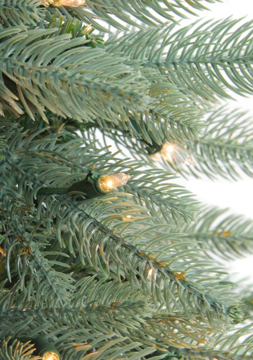 Pre-Lit Washington Frasier Fir Artificial Christmas Wreath - 24-Inch  Clear Lights
