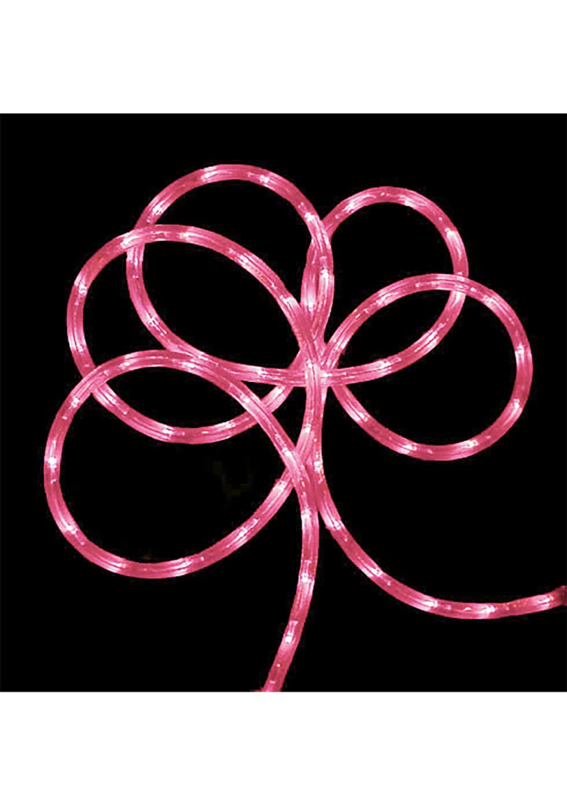 Pink Commericial Grade LED Outdoor Christmas Rope Light on a Spool - 24 ft