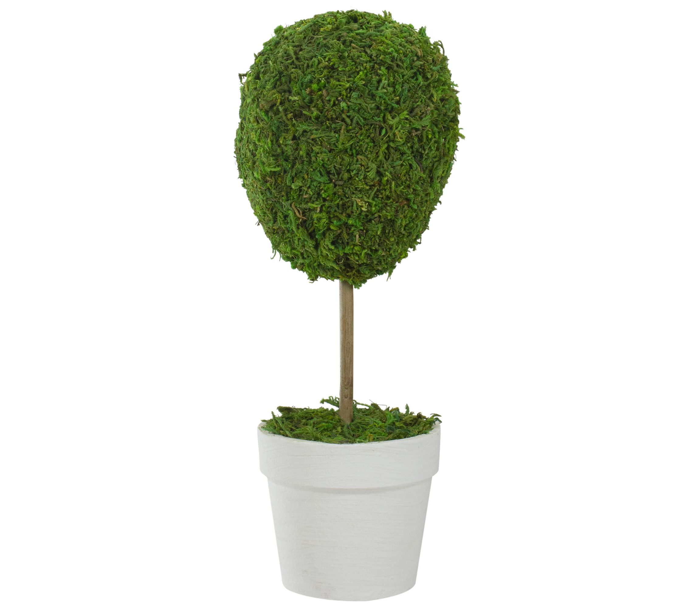 14" Green Reindeer Moss Ball Potted Artificial Spring Topiary Tree