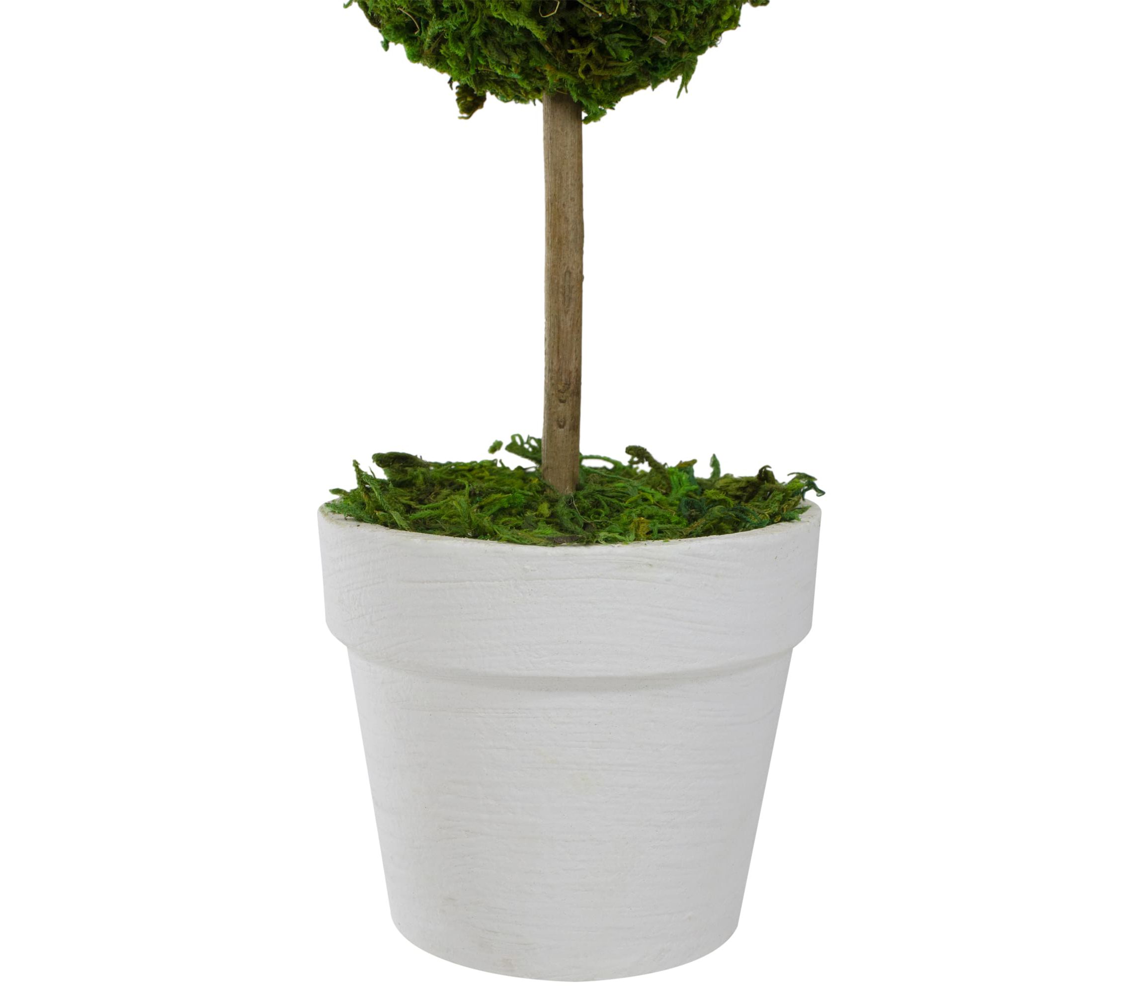 14" Green Reindeer Moss Ball Potted Artificial Spring Topiary Tree
