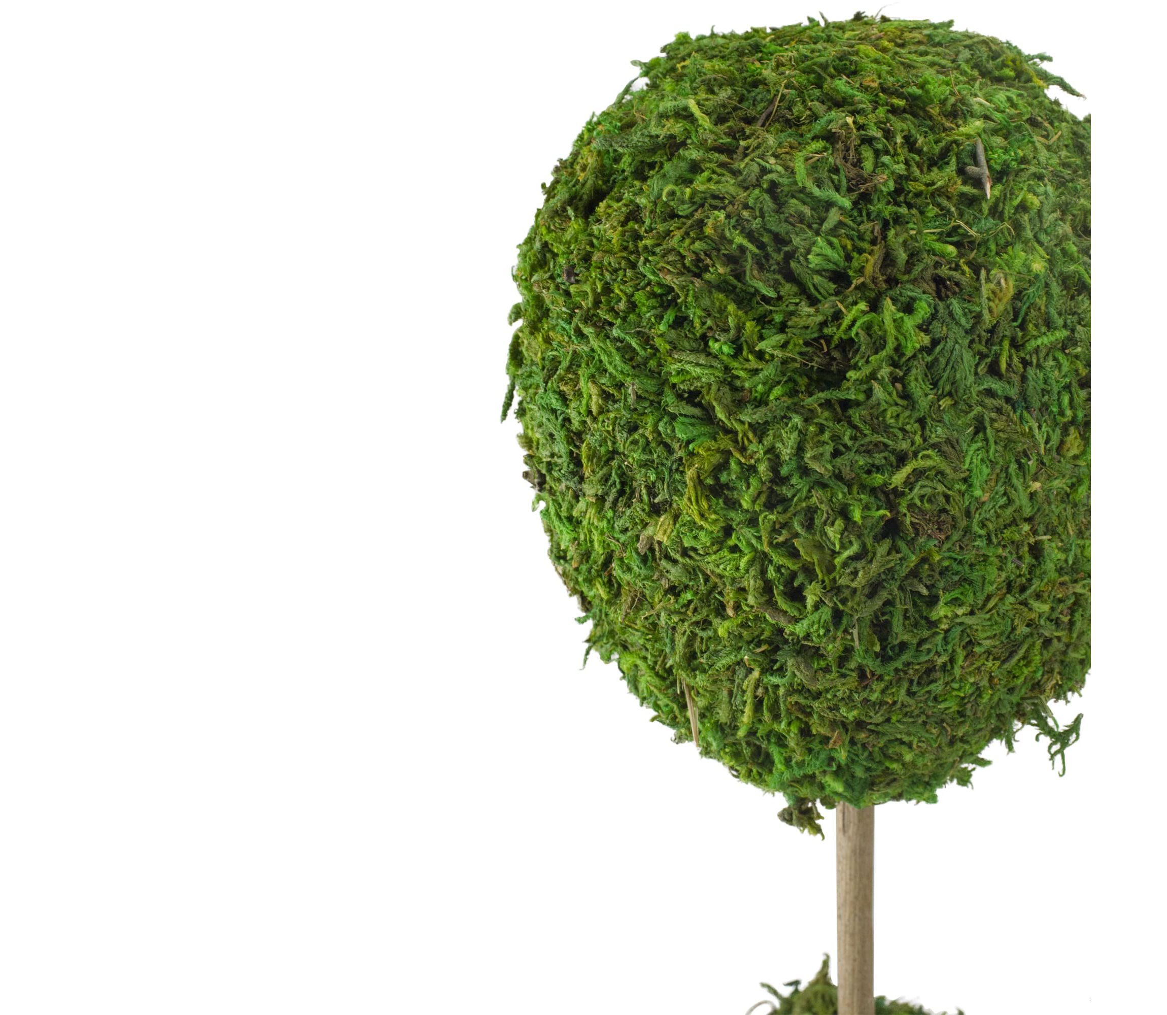 14" Green Reindeer Moss Ball Potted Artificial Spring Topiary Tree