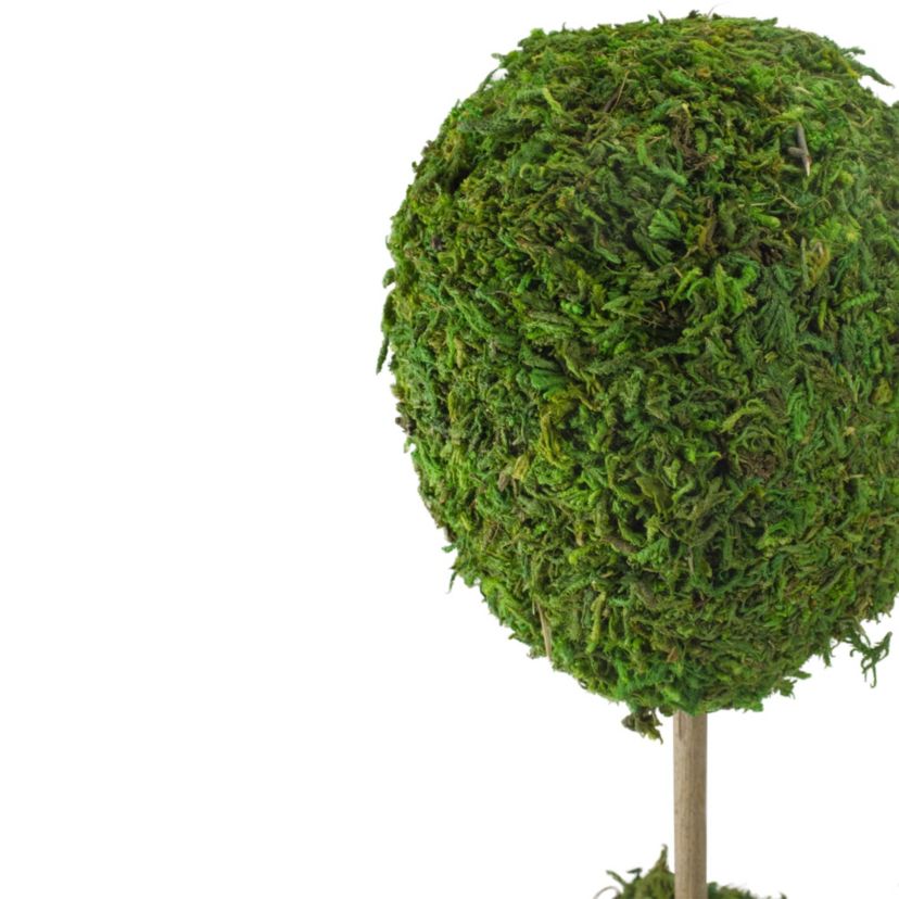 14" Green Reindeer Moss Ball Potted Artificial Spring Topiary Tree