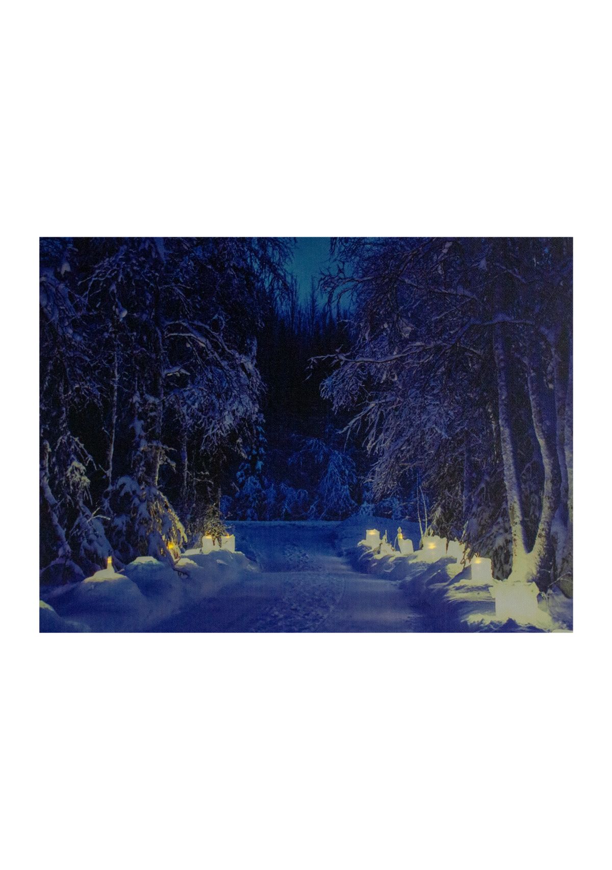 LED Lighted Nighttime in the Woods Winter Scene Canvas Wall Art 15.75Inch