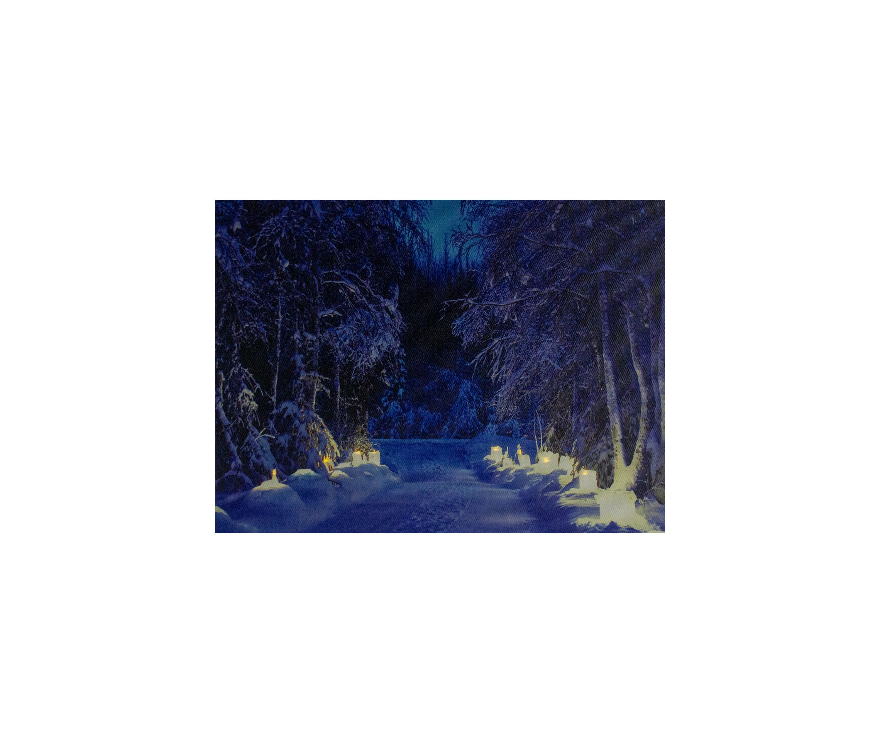 LED Lighted Nighttime in the Woods Winter Scene Canvas Wall Art 15.75Inch