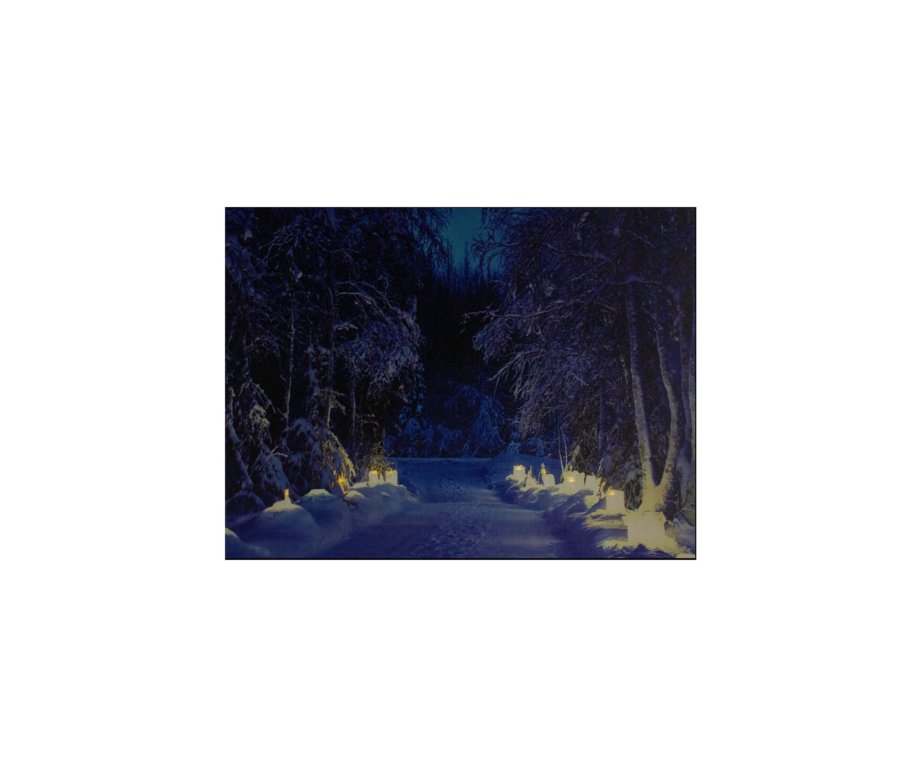 LED Lighted Nighttime in the Woods Winter Scene Canvas Wall Art 15.75Inch