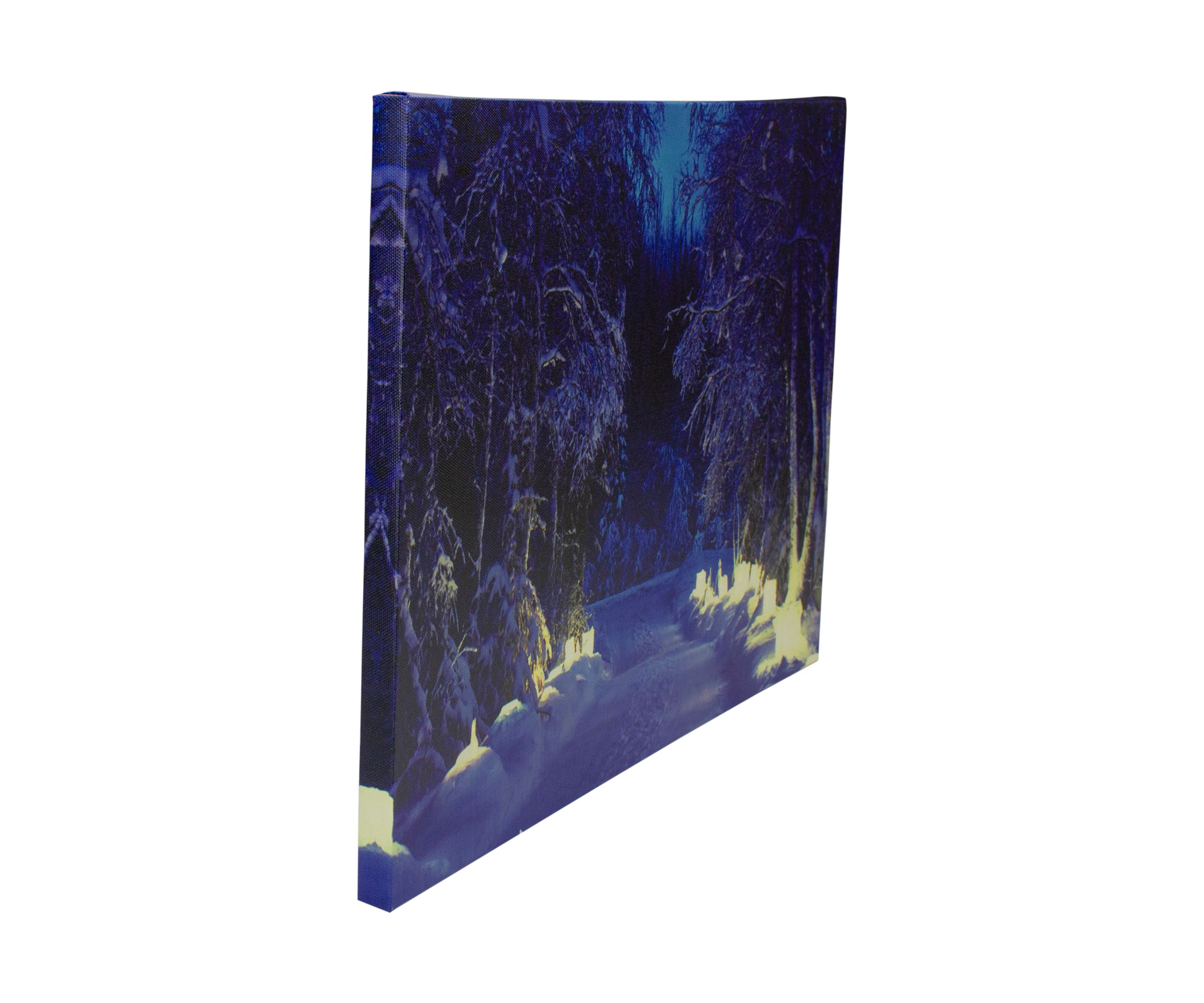 LED Lighted Nighttime in the Woods Winter Scene Canvas Wall Art 15.75Inch