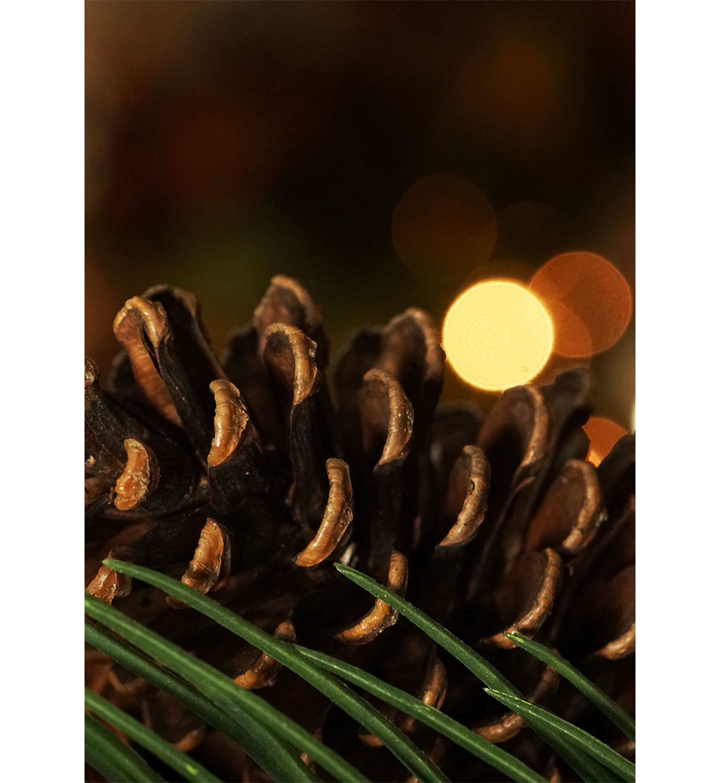 Long Pine Needle Artificial Christmas Wreath - 30-Inch  Unlit
