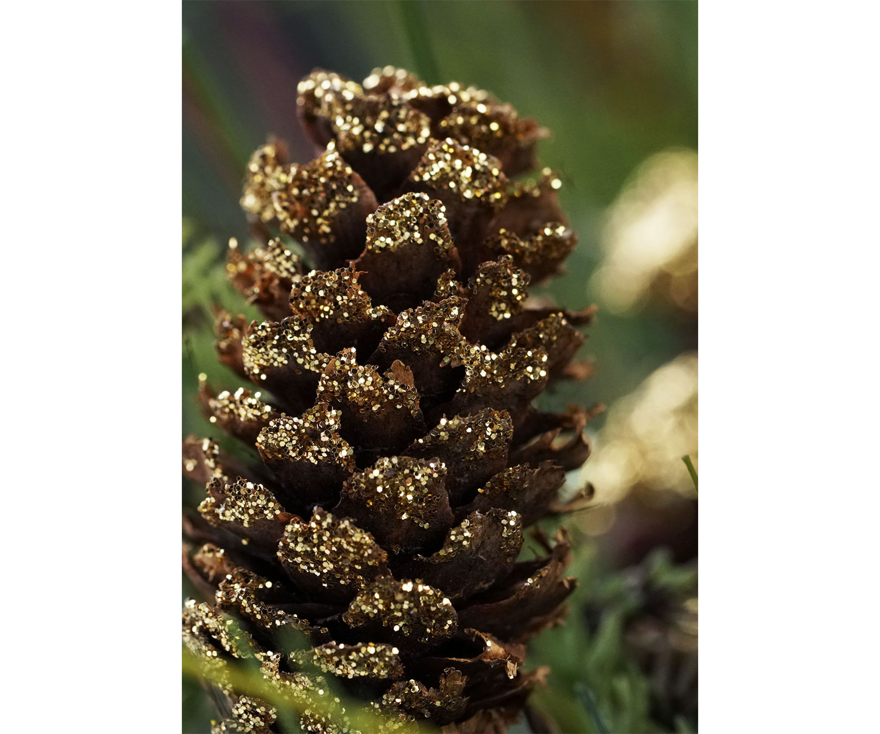 Artificial Mixed Pine with Pine Cones and Gold Glitter Christmas Wreath - 30 -Inch  Unlit