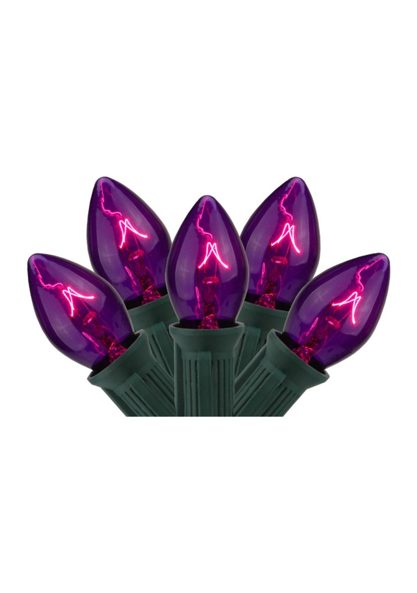 25-Count Purple C7 Transparent Christmas Light Set  24ft Green Wire
