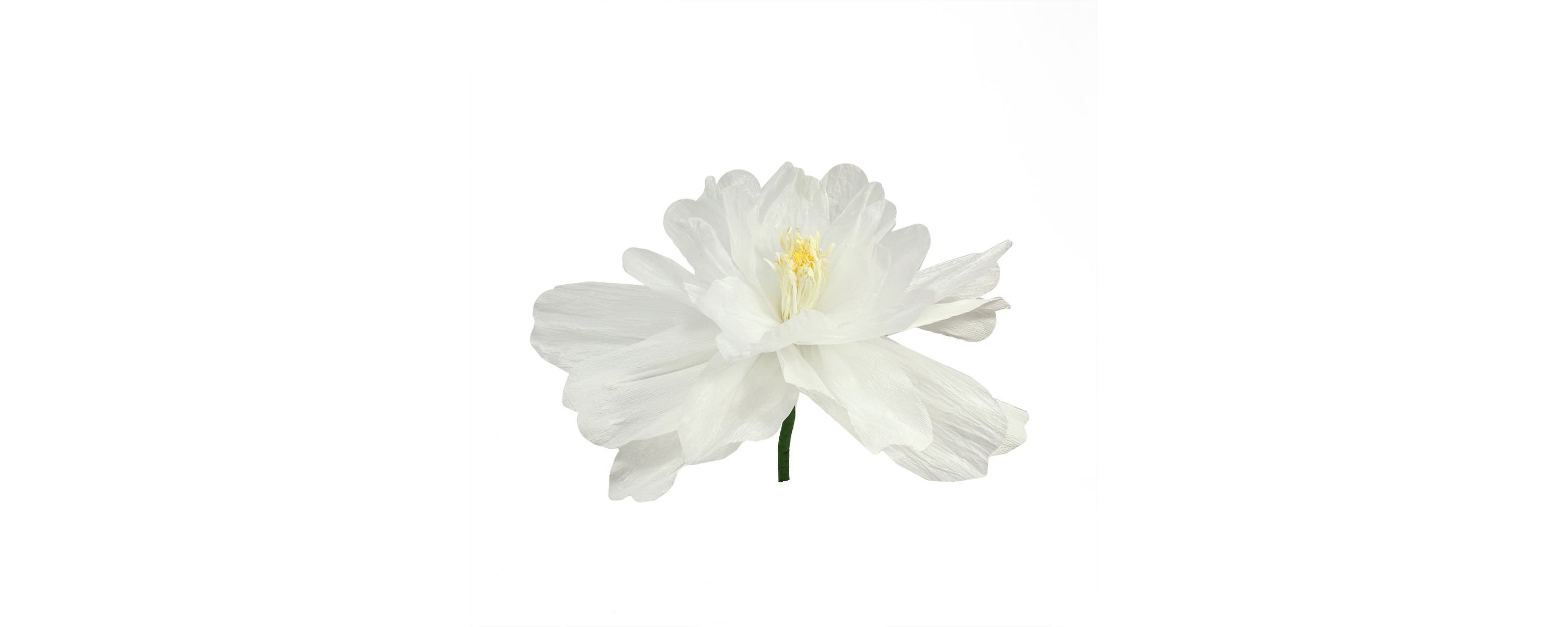 22" White and Yellow Spring Floral Artificial Craft Stem