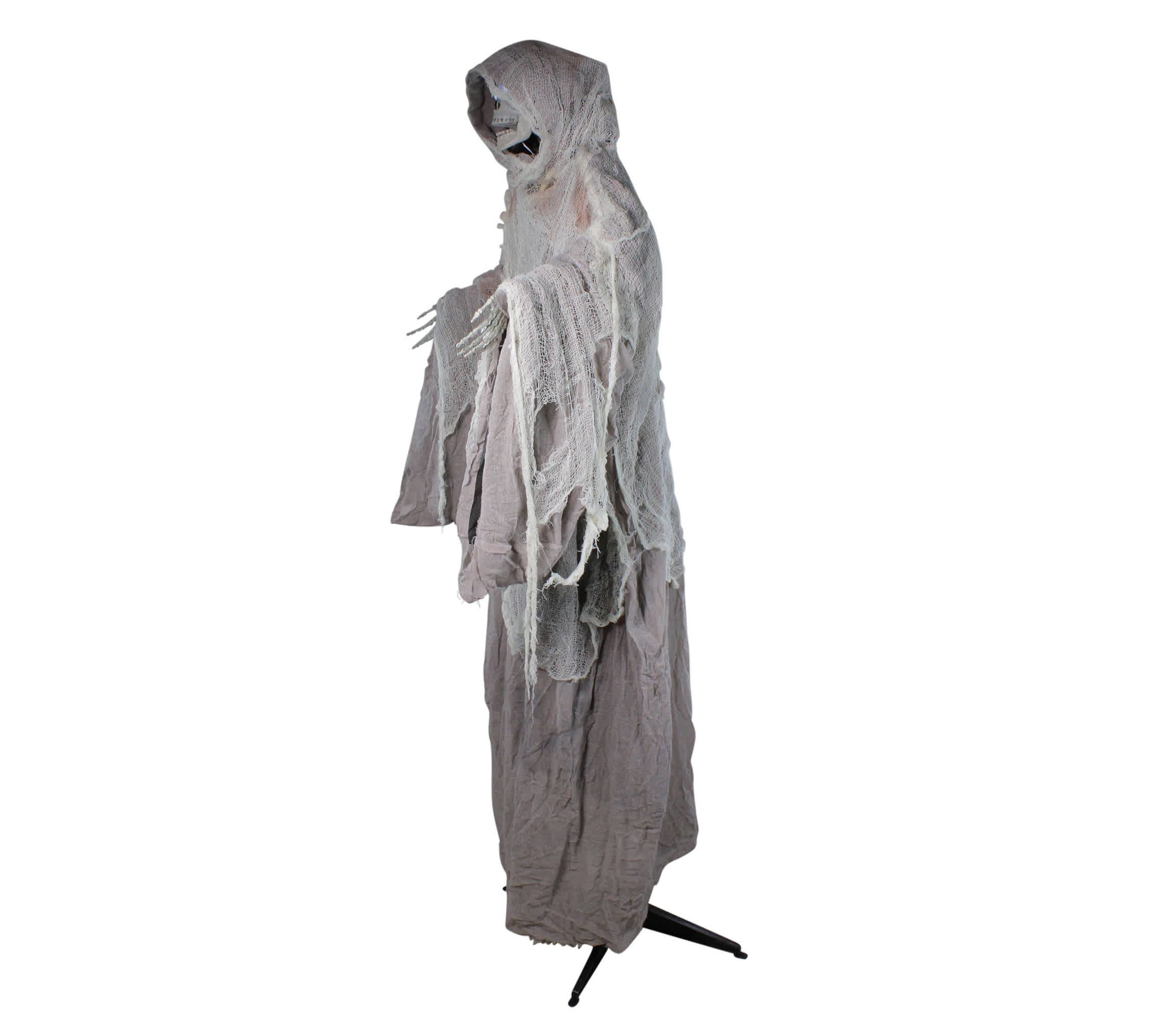 65" Lighted and Animated Master of Death Halloween Decoration