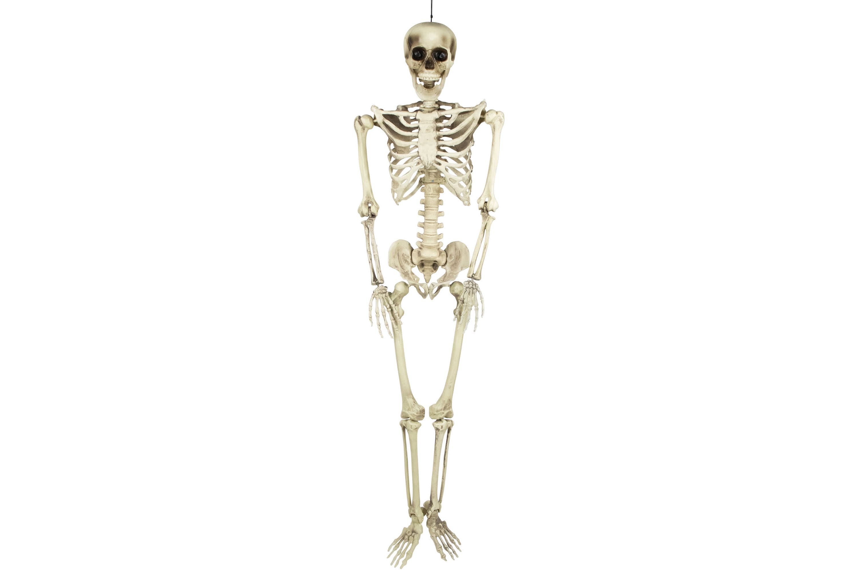 Life Size Skeleton Hanging Halloween Decoration - 5