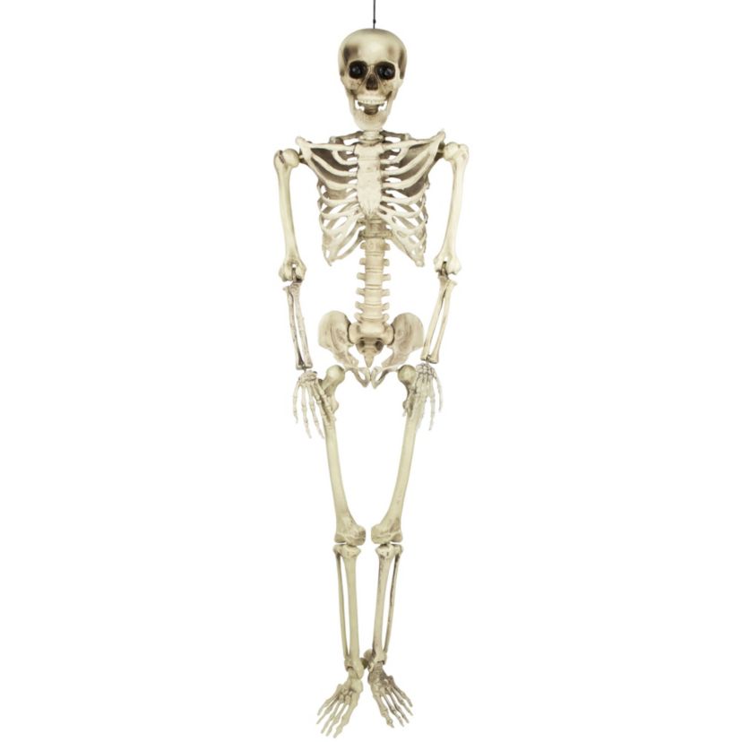 Life Size Skeleton Hanging Halloween Decoration - 5