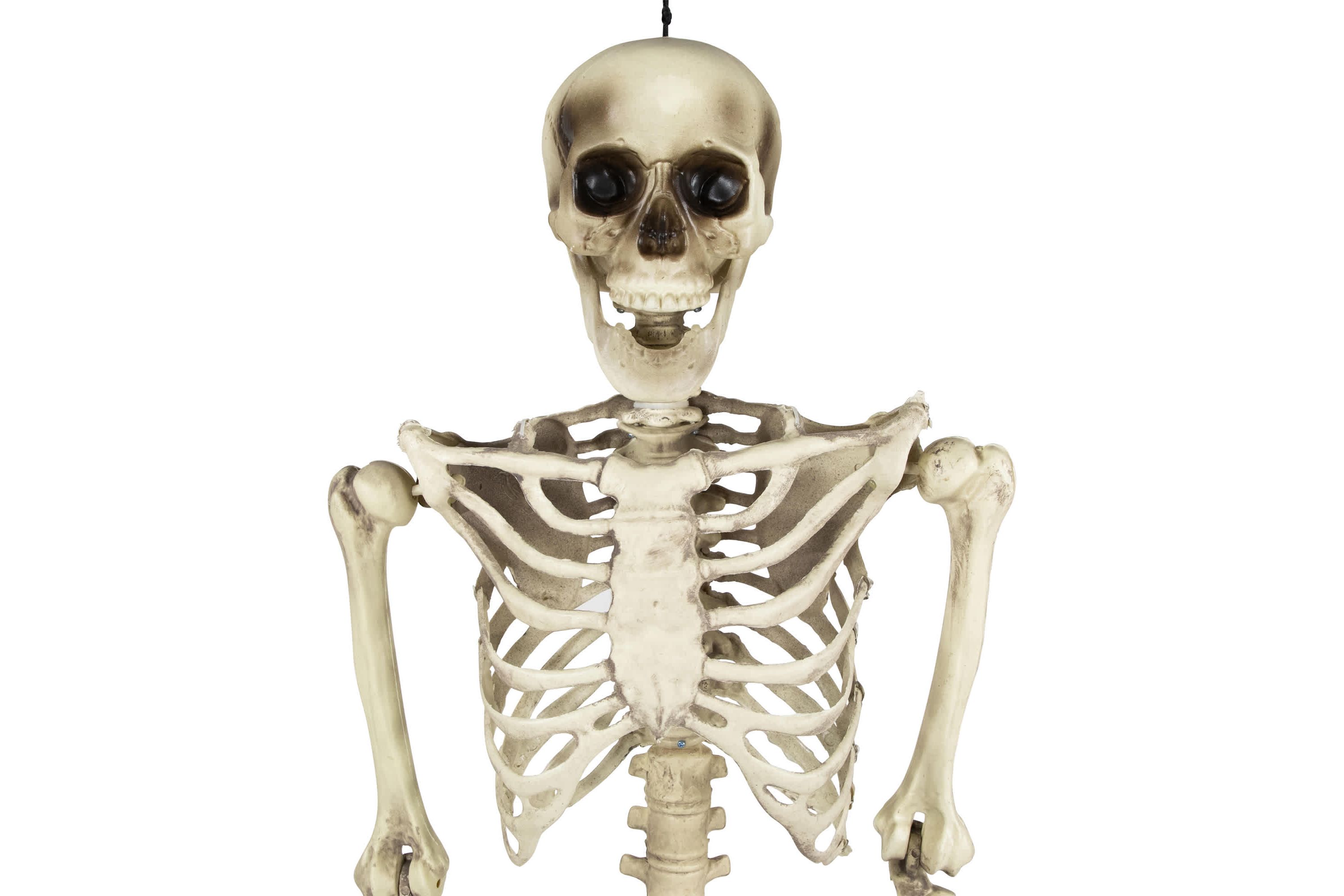 Life Size Skeleton Hanging Halloween Decoration - 5
