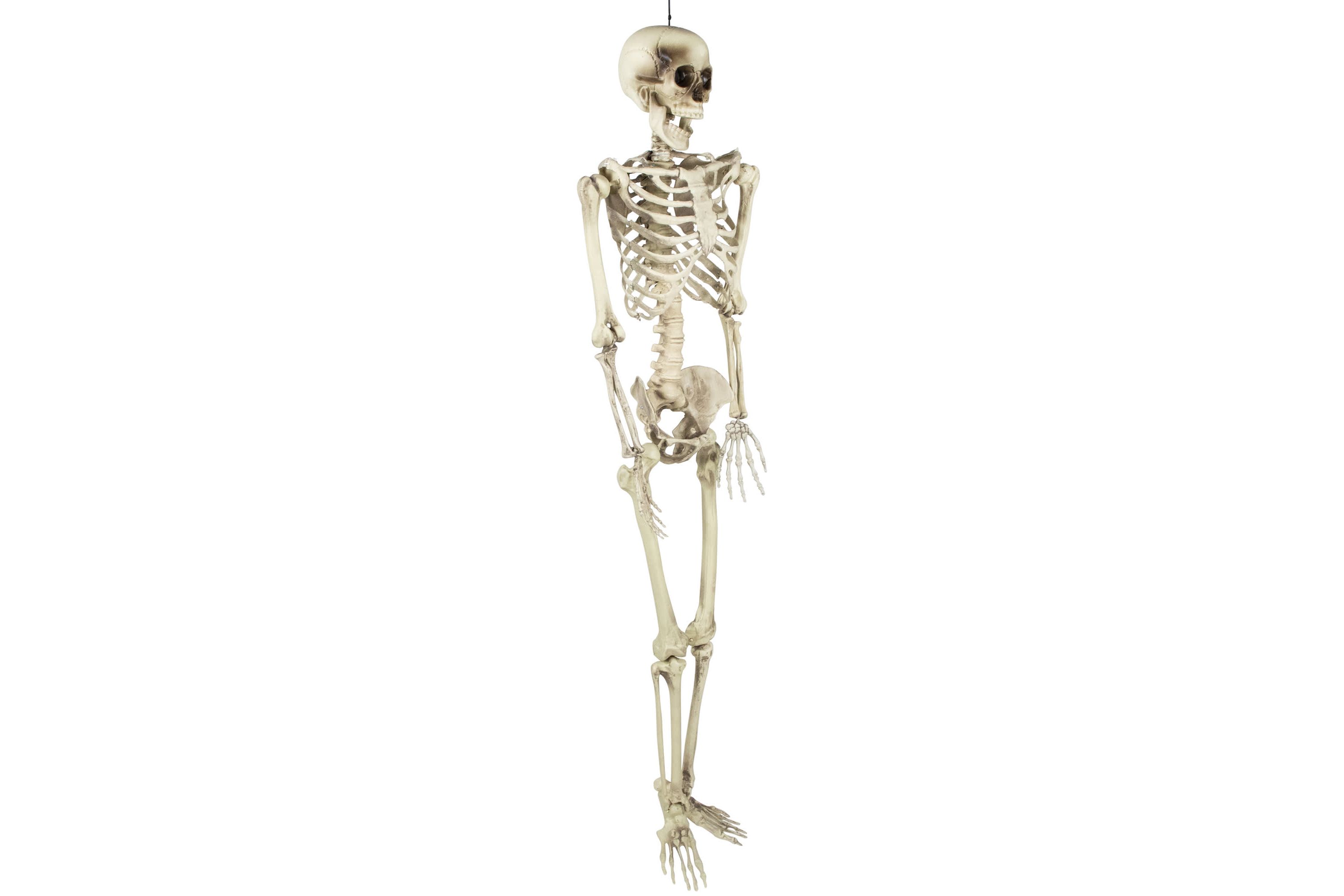 Life Size Skeleton Hanging Halloween Decoration - 5