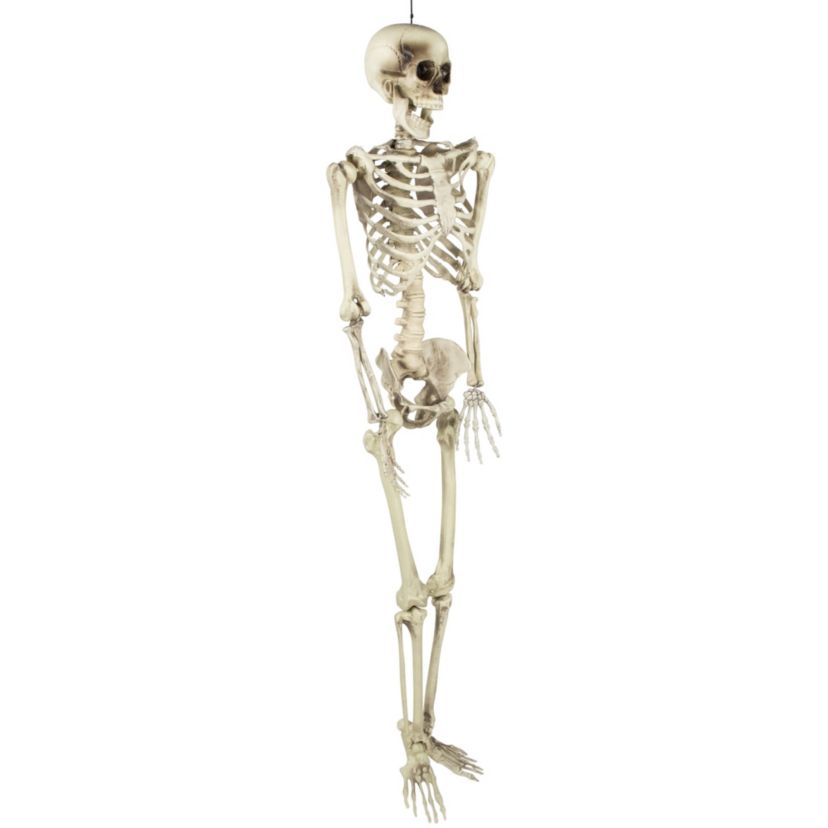 Life Size Skeleton Hanging Halloween Decoration - 5