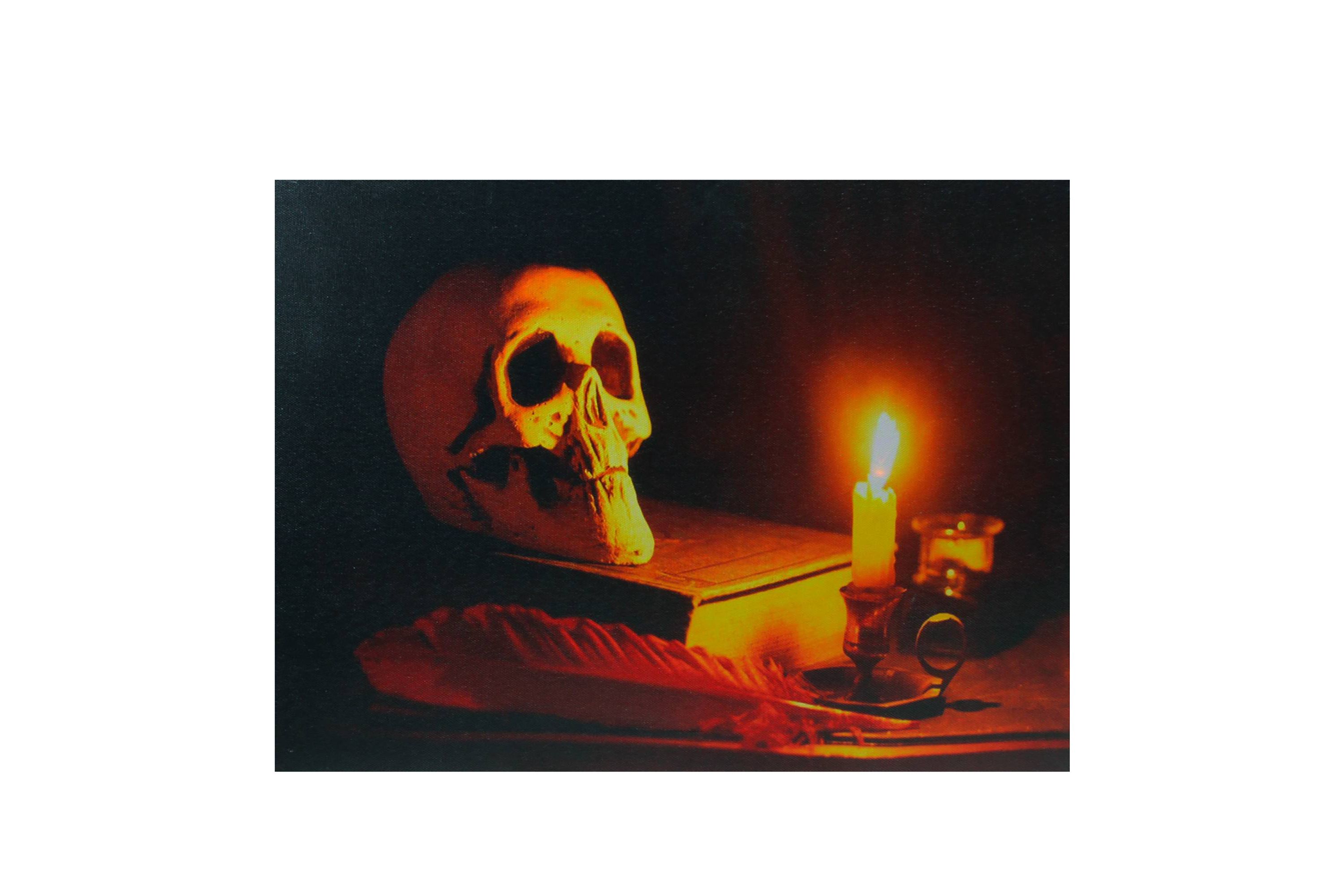 LED Lighted Skull by Flickering Candlelight Halloween Canvas Wall Art 12" x 15.75"