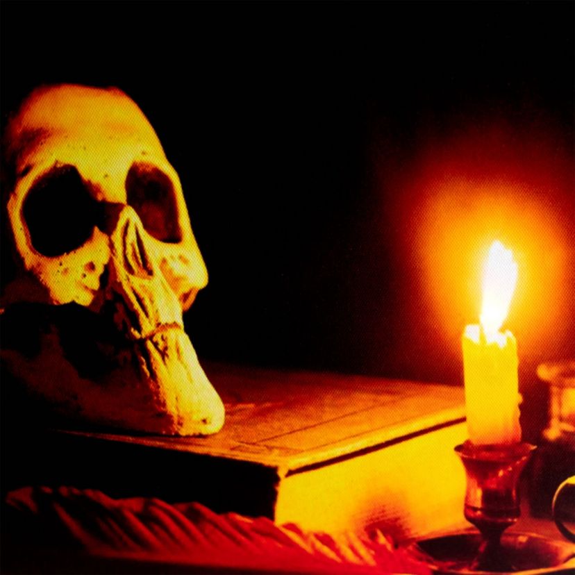 LED Lighted Skull by Flickering Candlelight Halloween Canvas Wall Art 12" x 15.75"