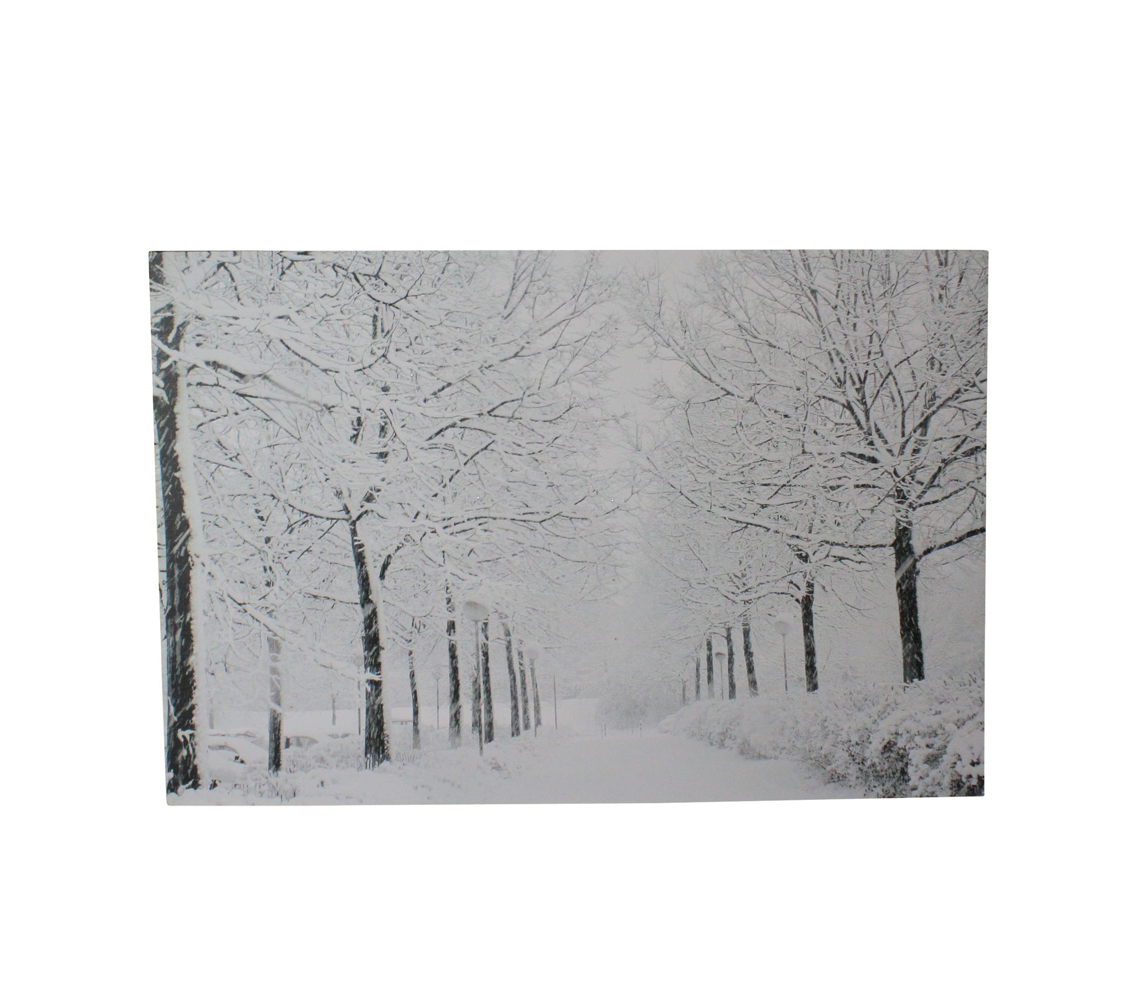 Fiber Optic Lighted Winter Lane Snowfall Christmas Canvas Wall Art 23.5inch x 15.75inch