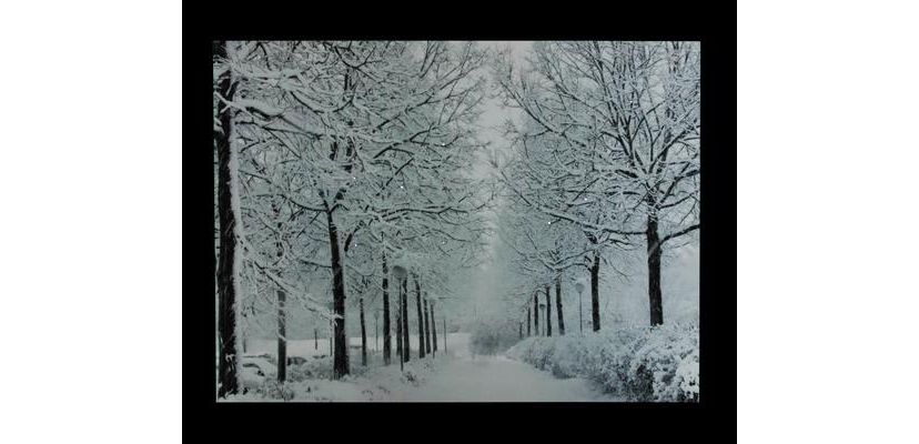 Fiber Optic Lighted Winter Lane Snowfall Christmas Canvas Wall Art 23.5inch x 15.75inch