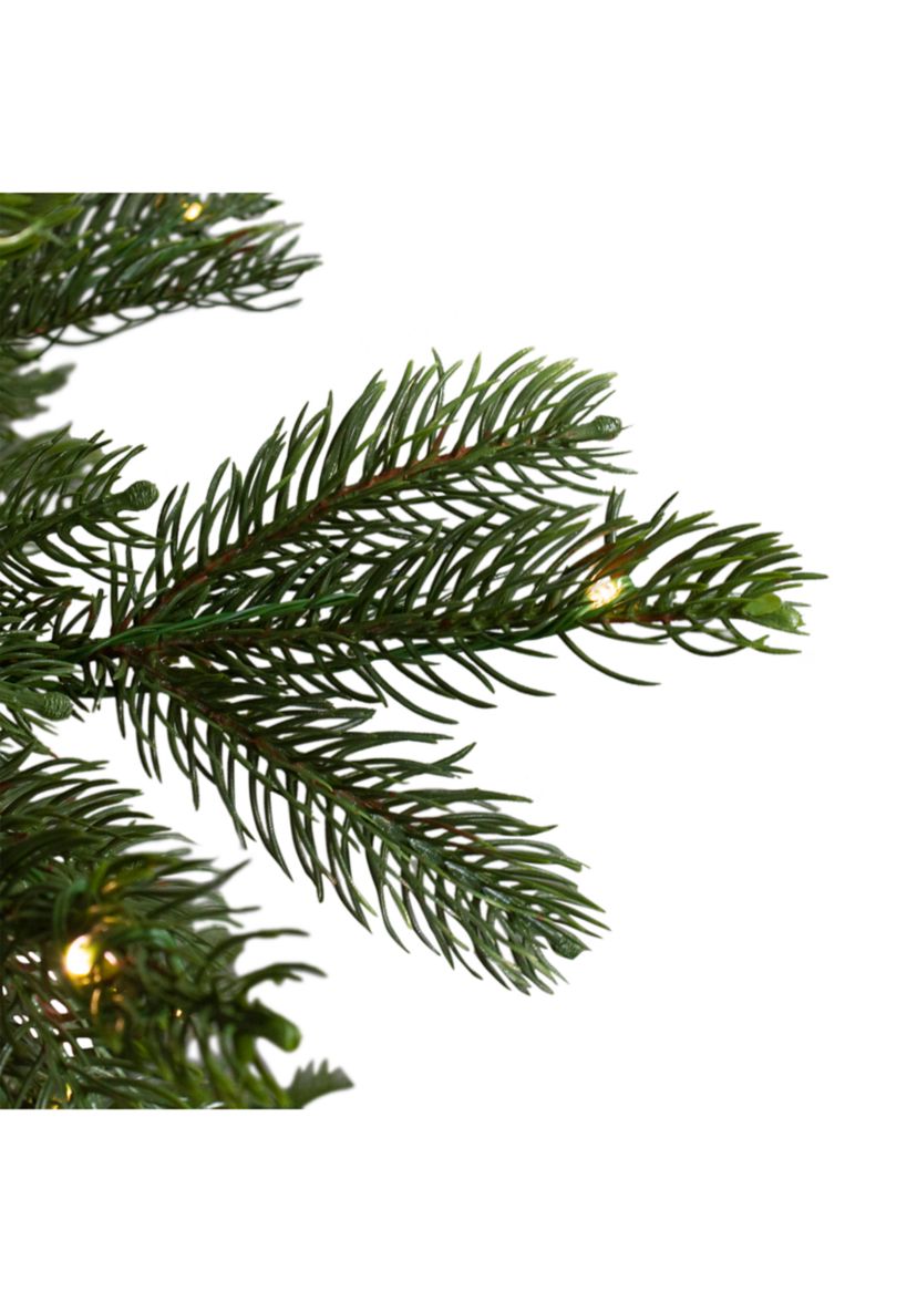 6.5 Pre-Lit Full Oregon Noble Fir Artificial Christmas Tree - Warm White LED Lights