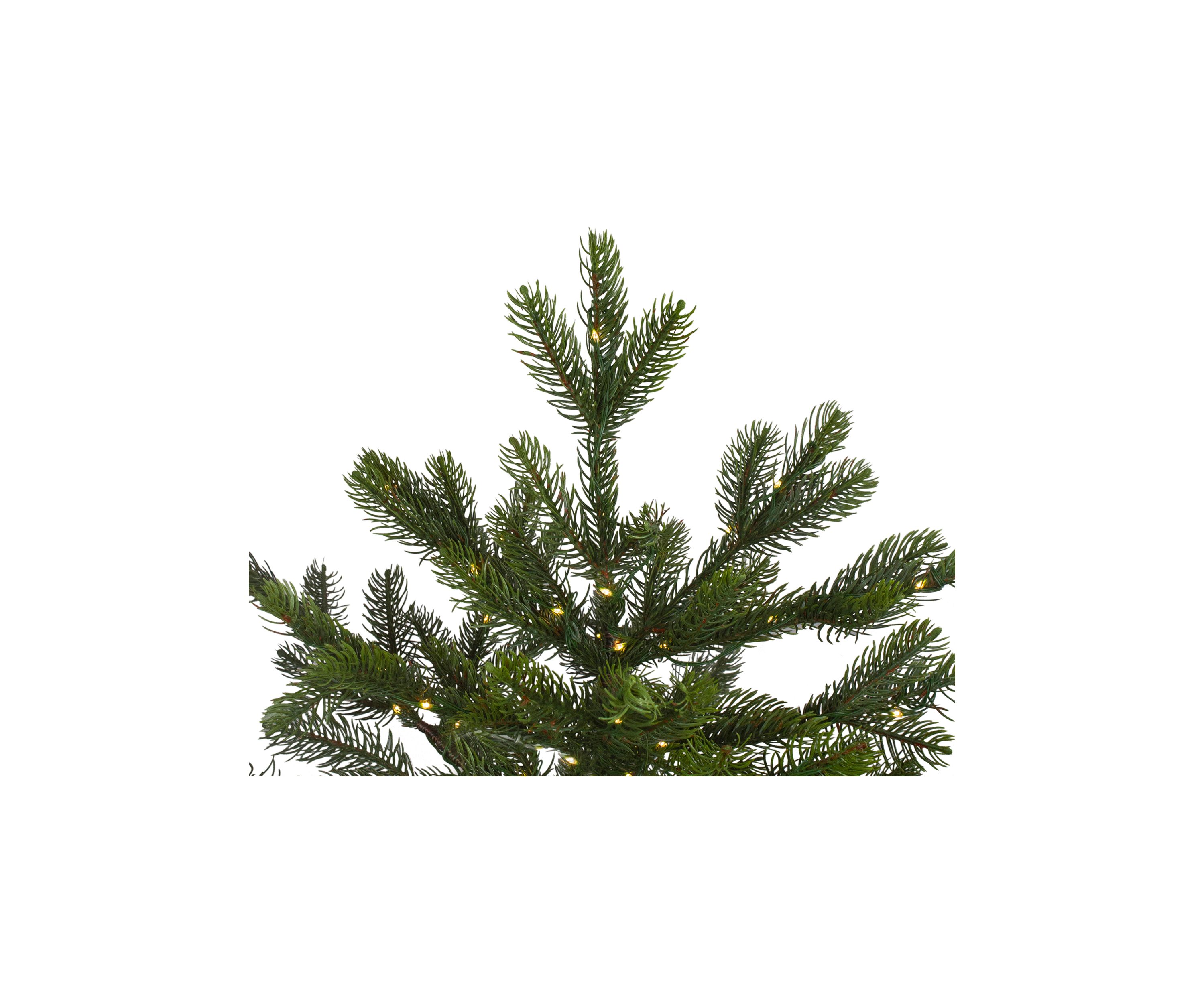 6.5 Pre-Lit Full Oregon Noble Fir Artificial Christmas Tree - Warm White LED Lights