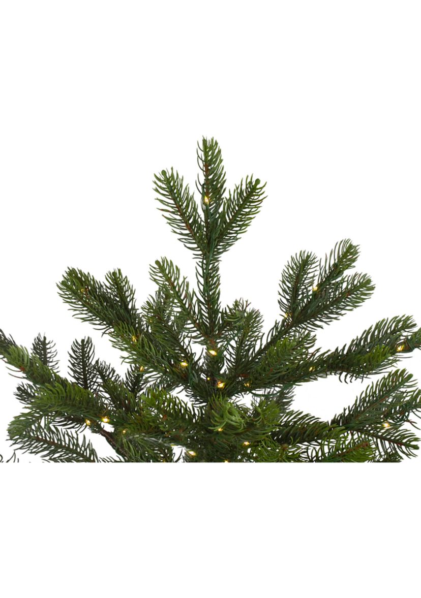 6.5 Pre-Lit Full Oregon Noble Fir Artificial Christmas Tree - Warm White LED Lights