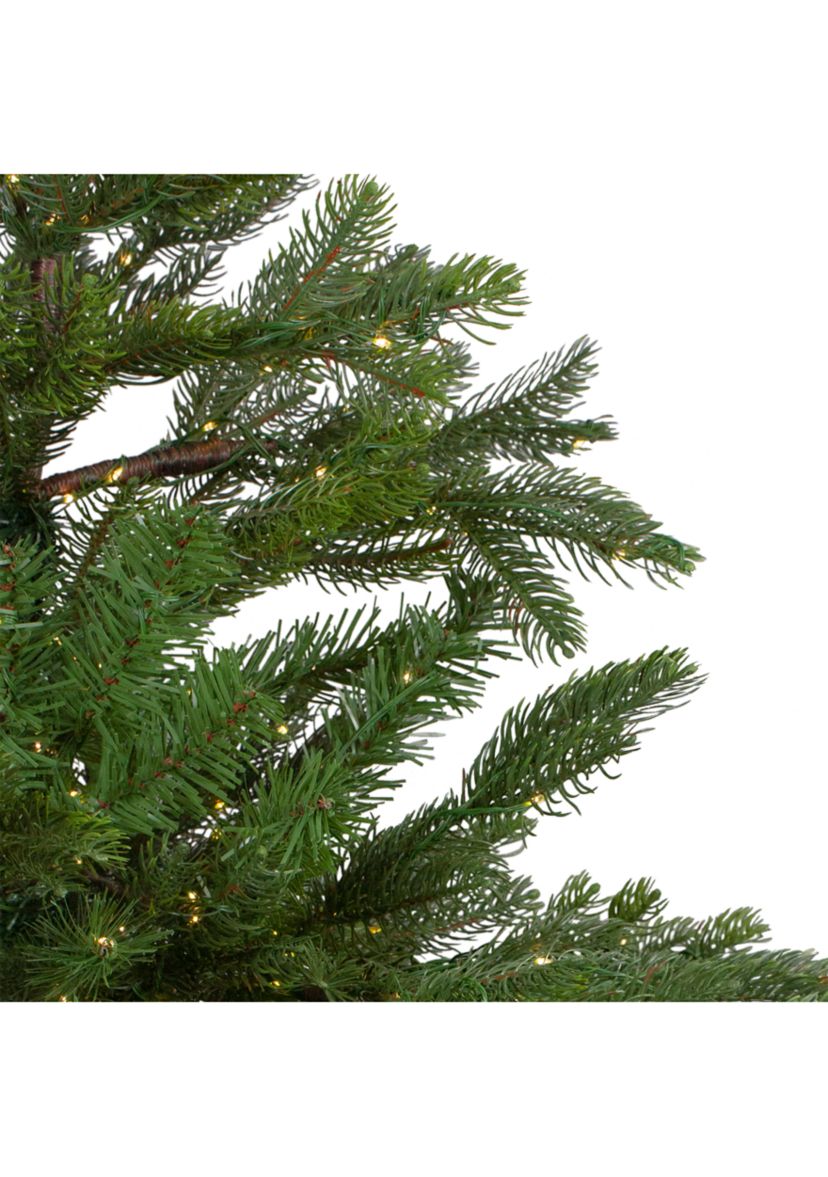 6.5 Pre-Lit Full Oregon Noble Fir Artificial Christmas Tree - Warm White LED Lights