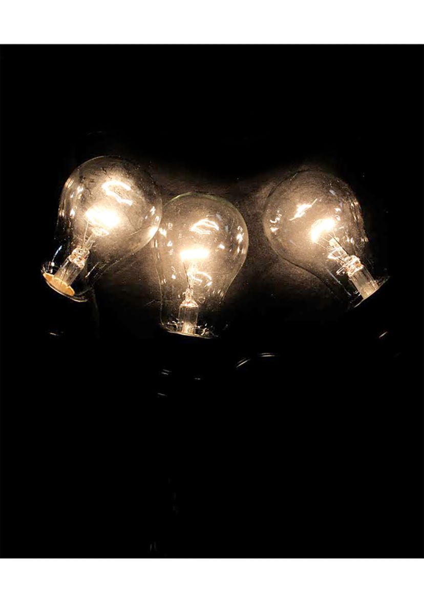 15-Count Clear Commercial Grade Adjustable Drop Length E17 A Shape Christmas Lights  21ft Black Wire