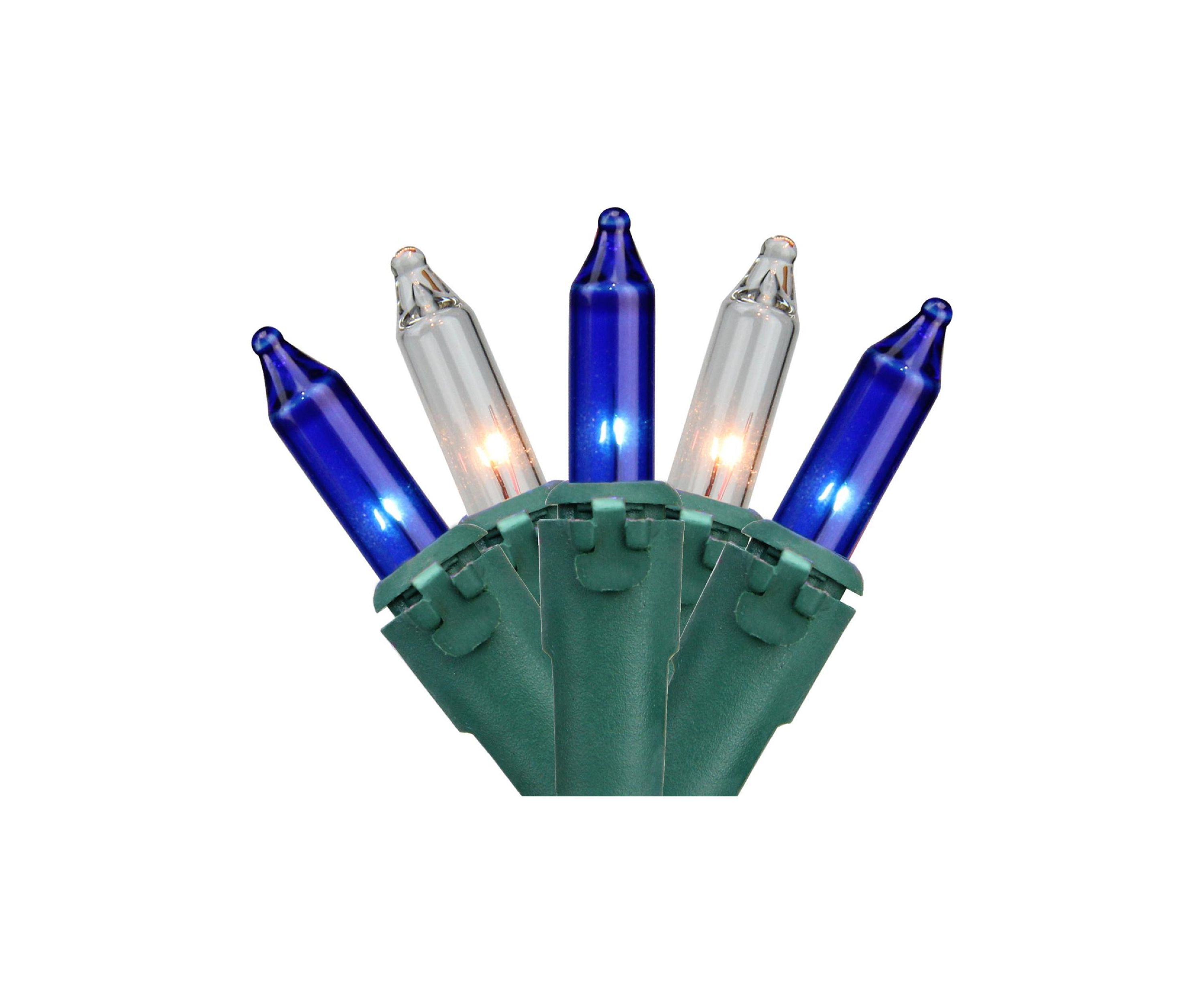 Set of 100 Blue & Clear Mini Christmas Lights 2.5Inch Spacing - Green Wire
