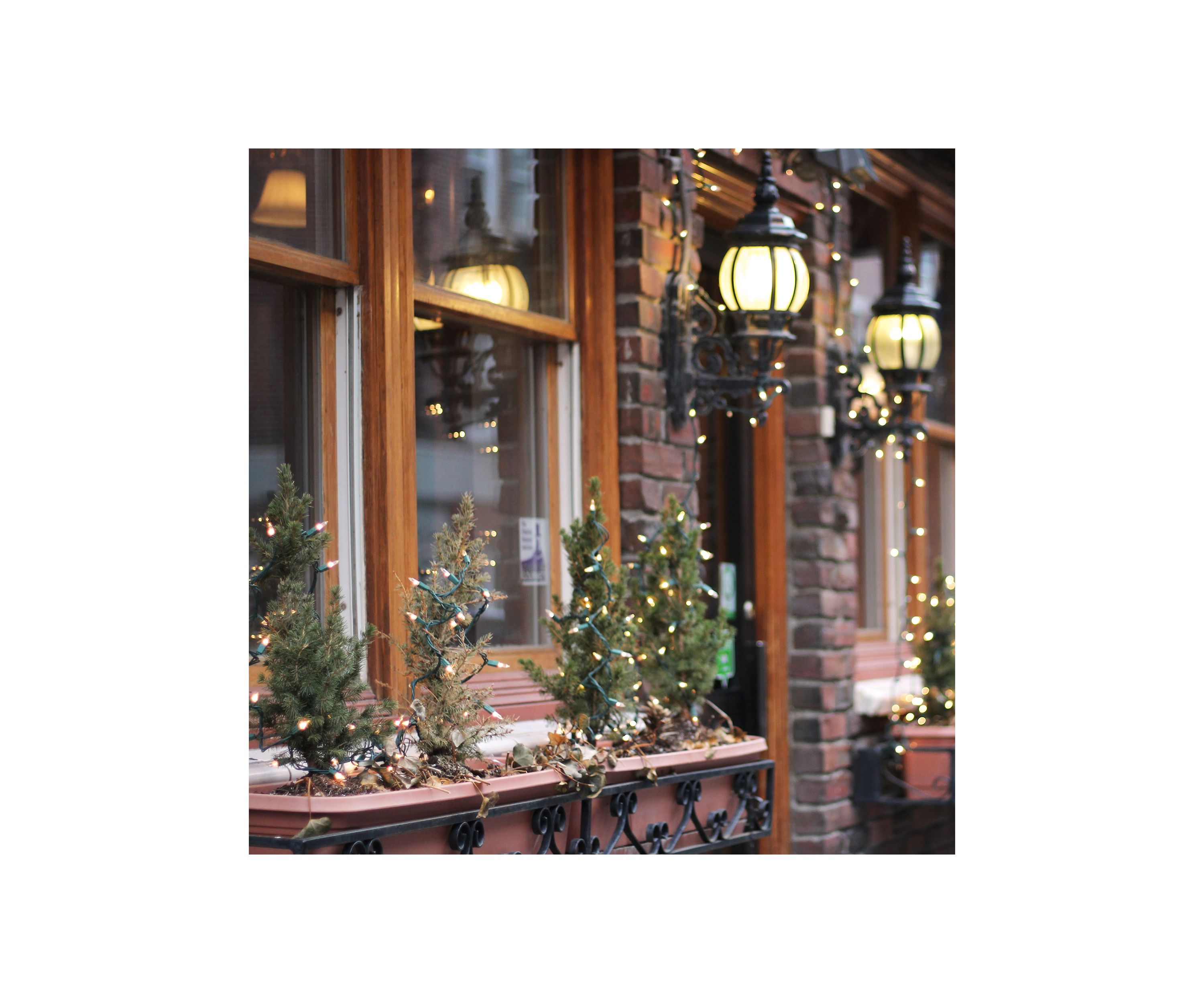 100-Count Clear Mini Christmas Light Set  20.25ft Green Wire